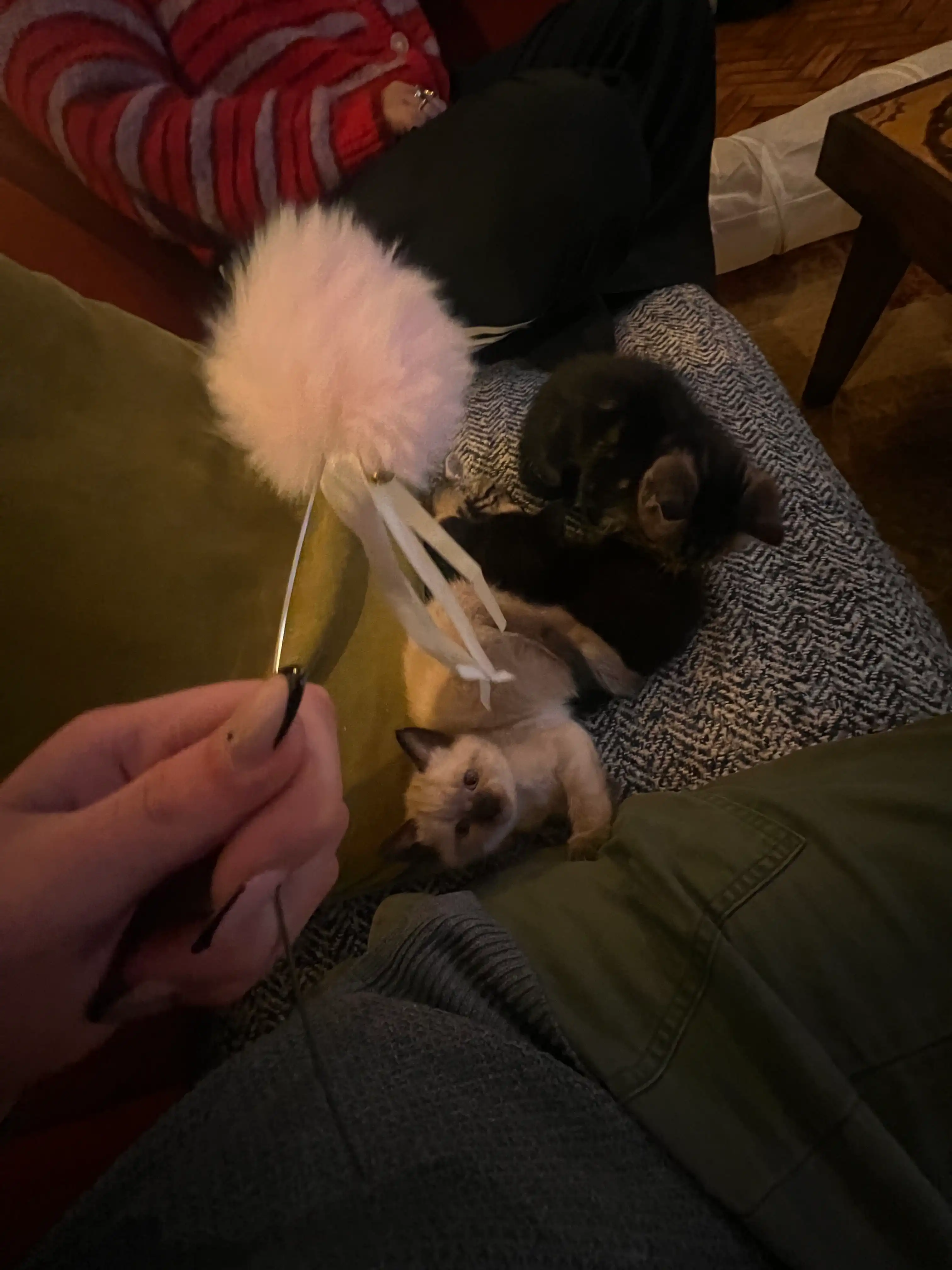 image-6