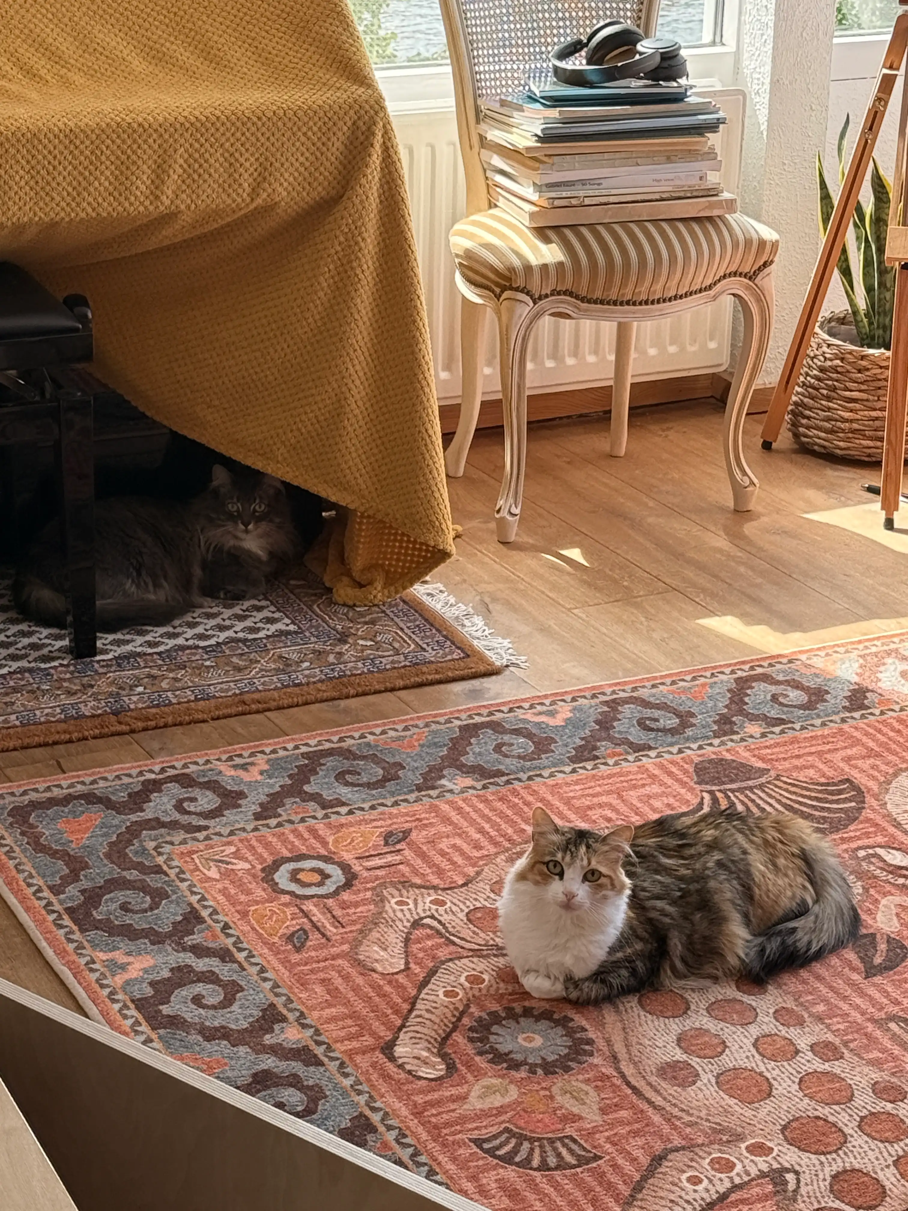 image-14