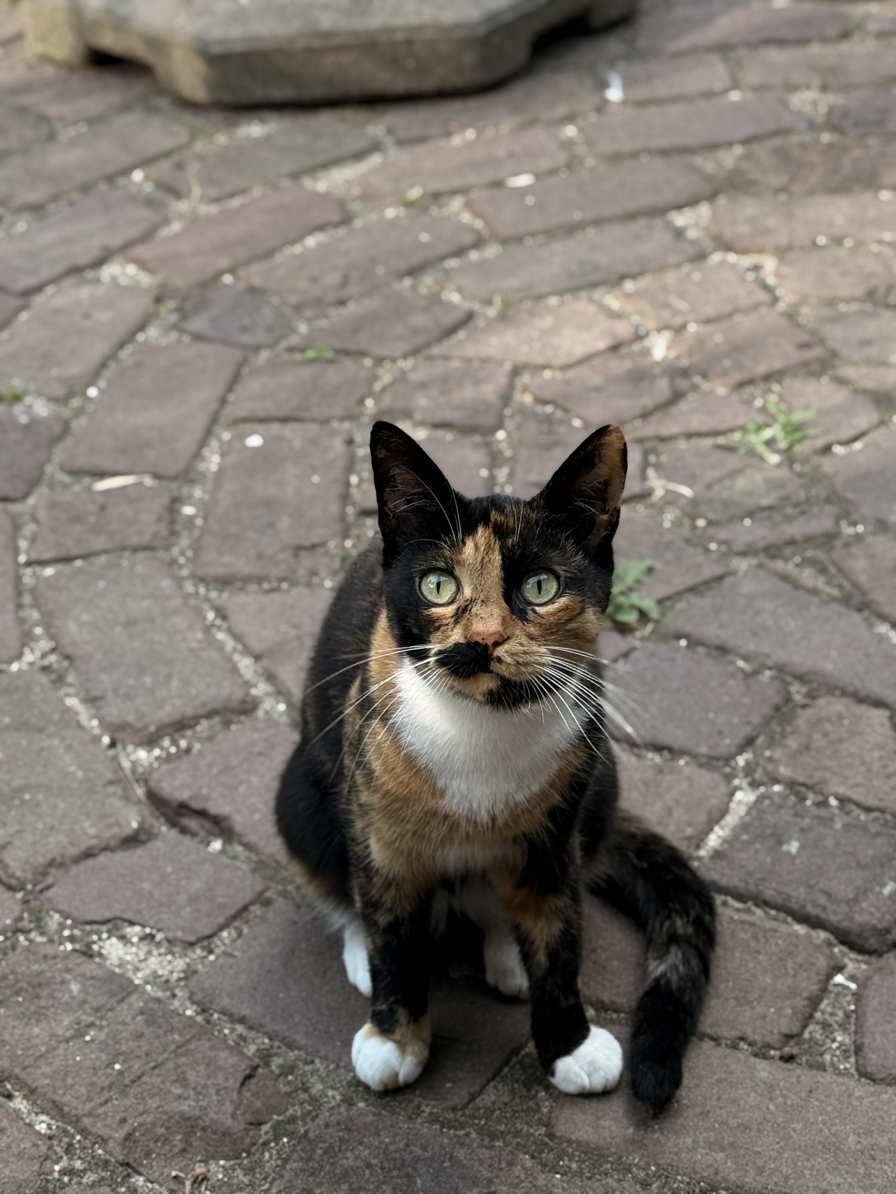 image-18