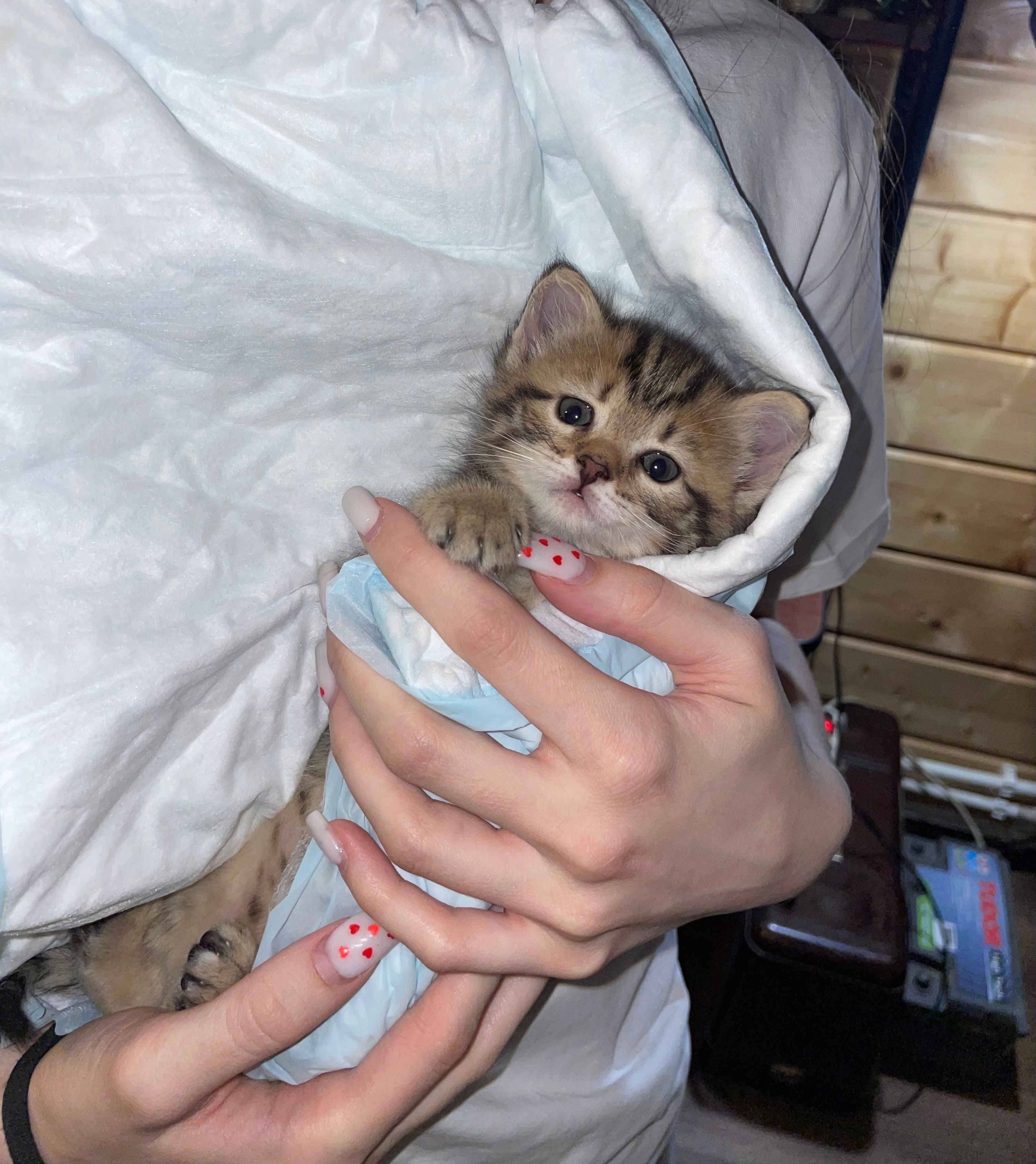 image-10