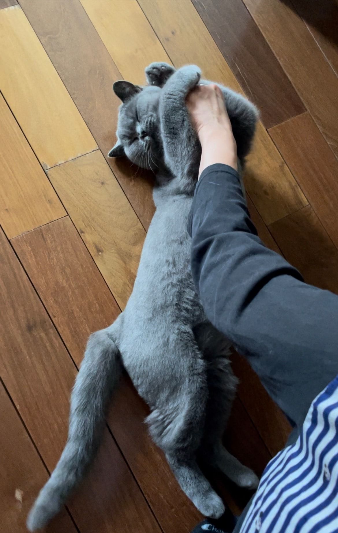 image-7