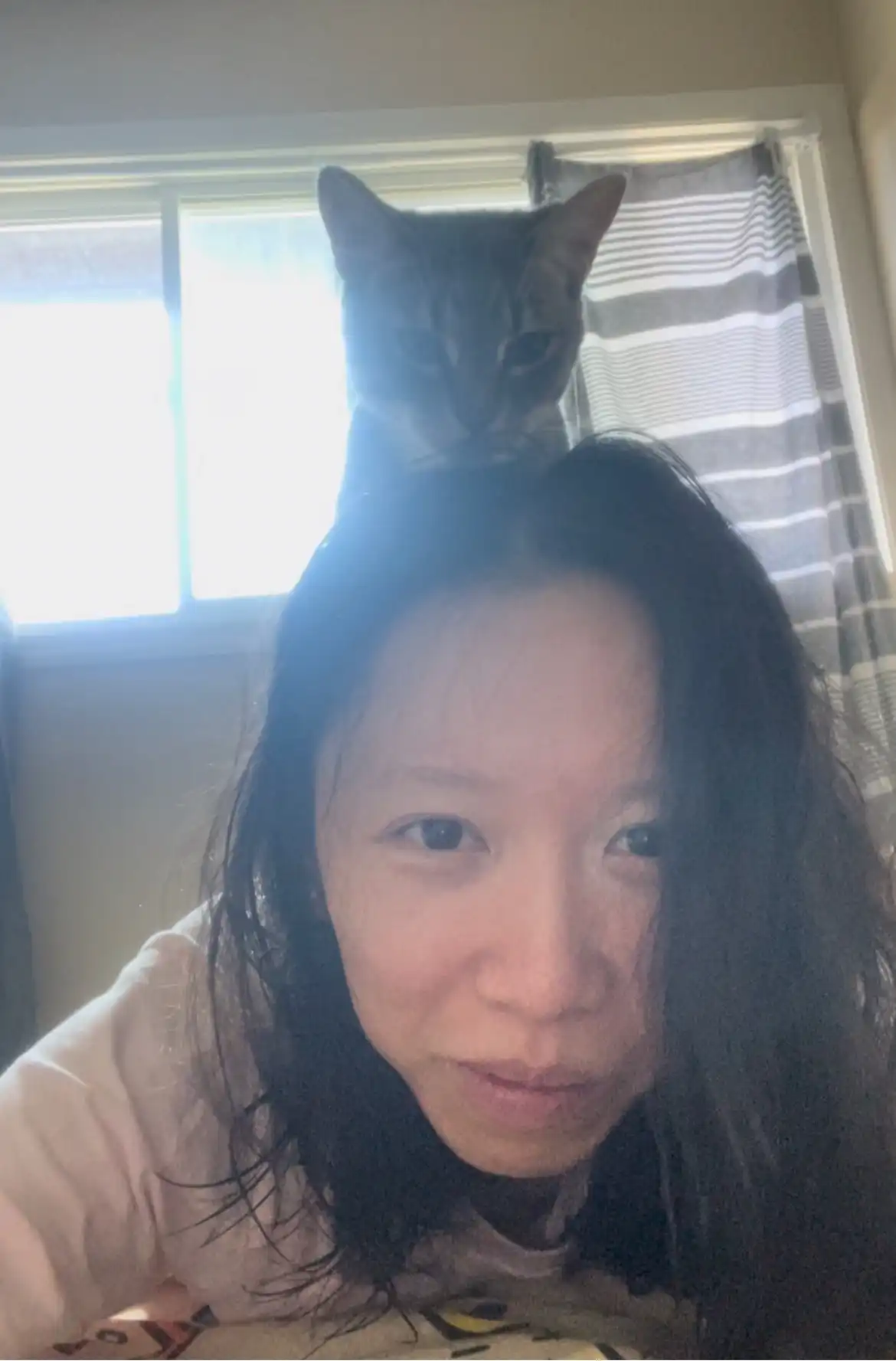 image-6