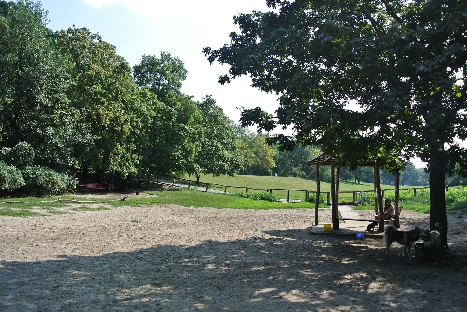 image-12