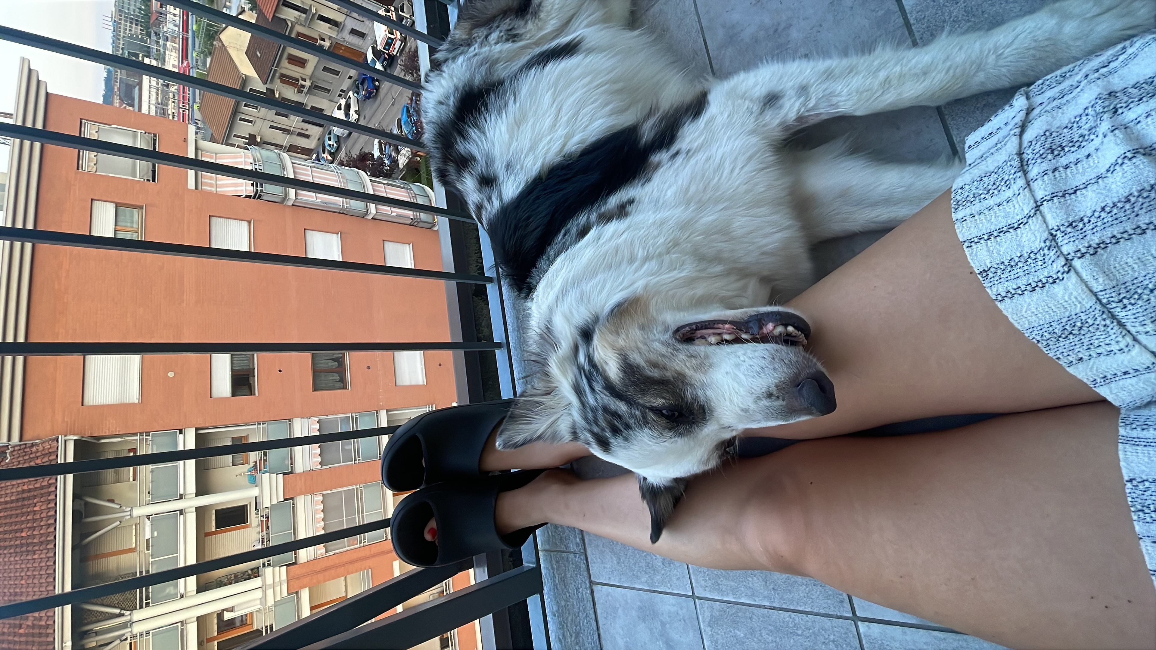 image-6