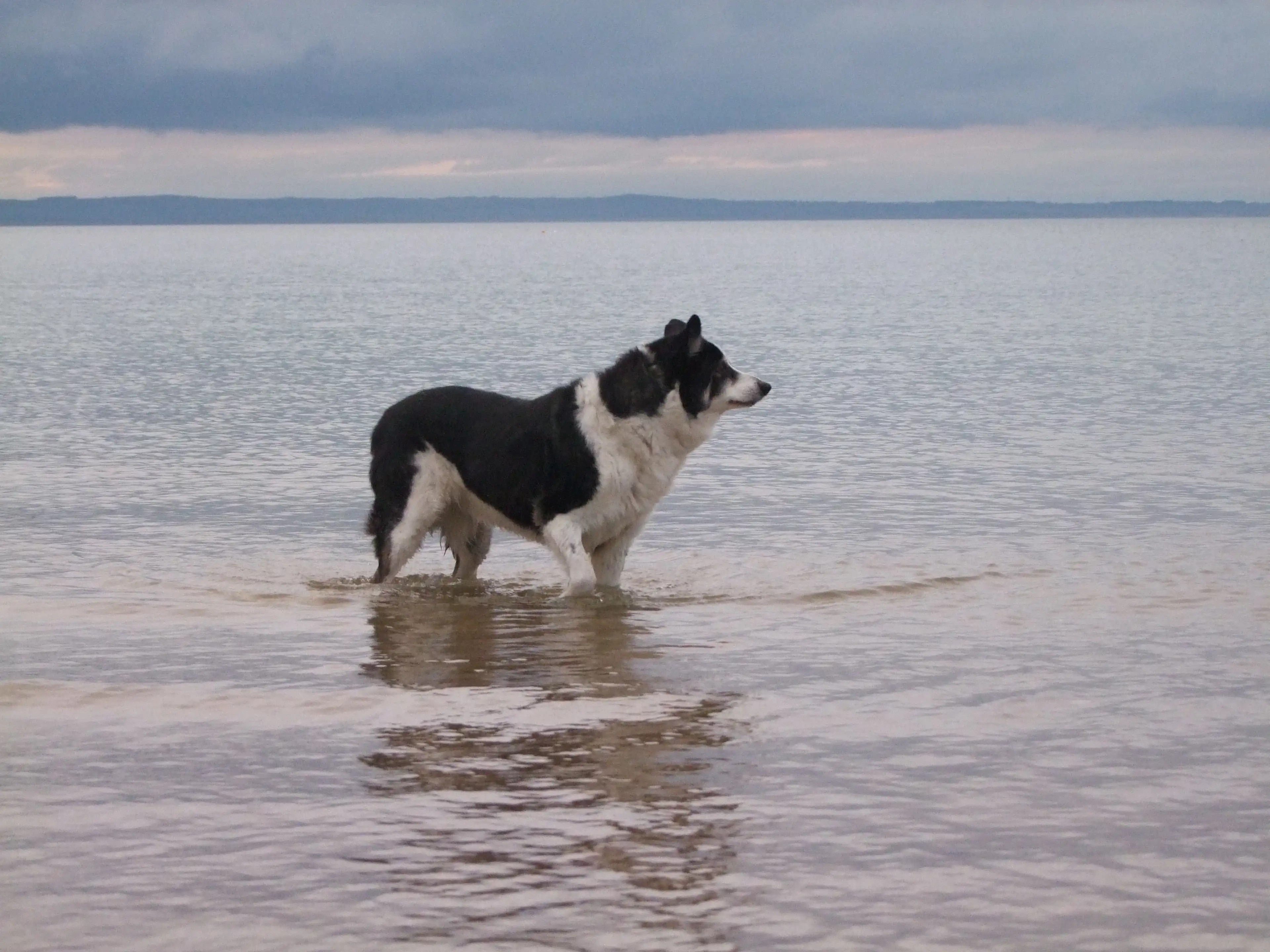 image-5