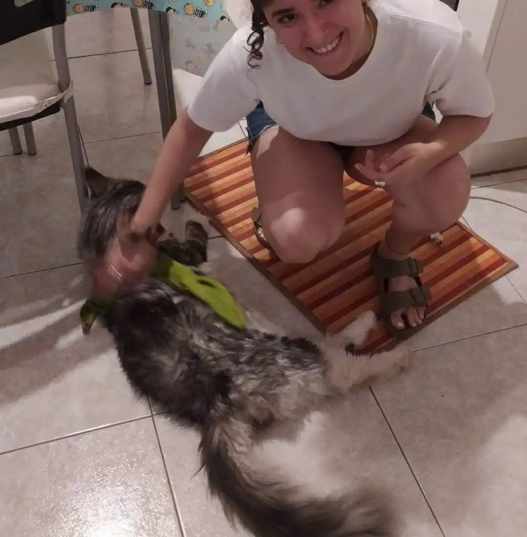 image-8