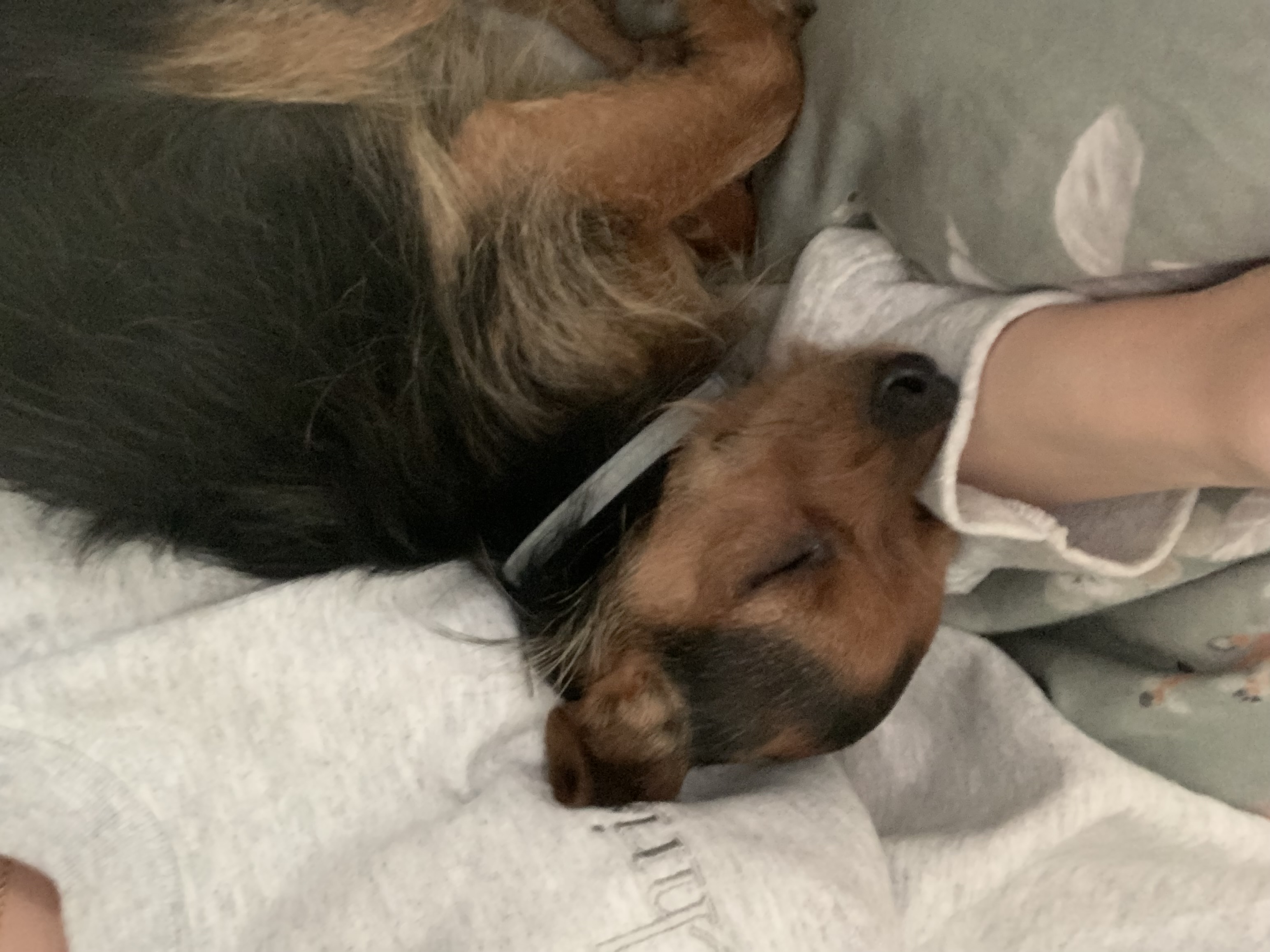 image-11