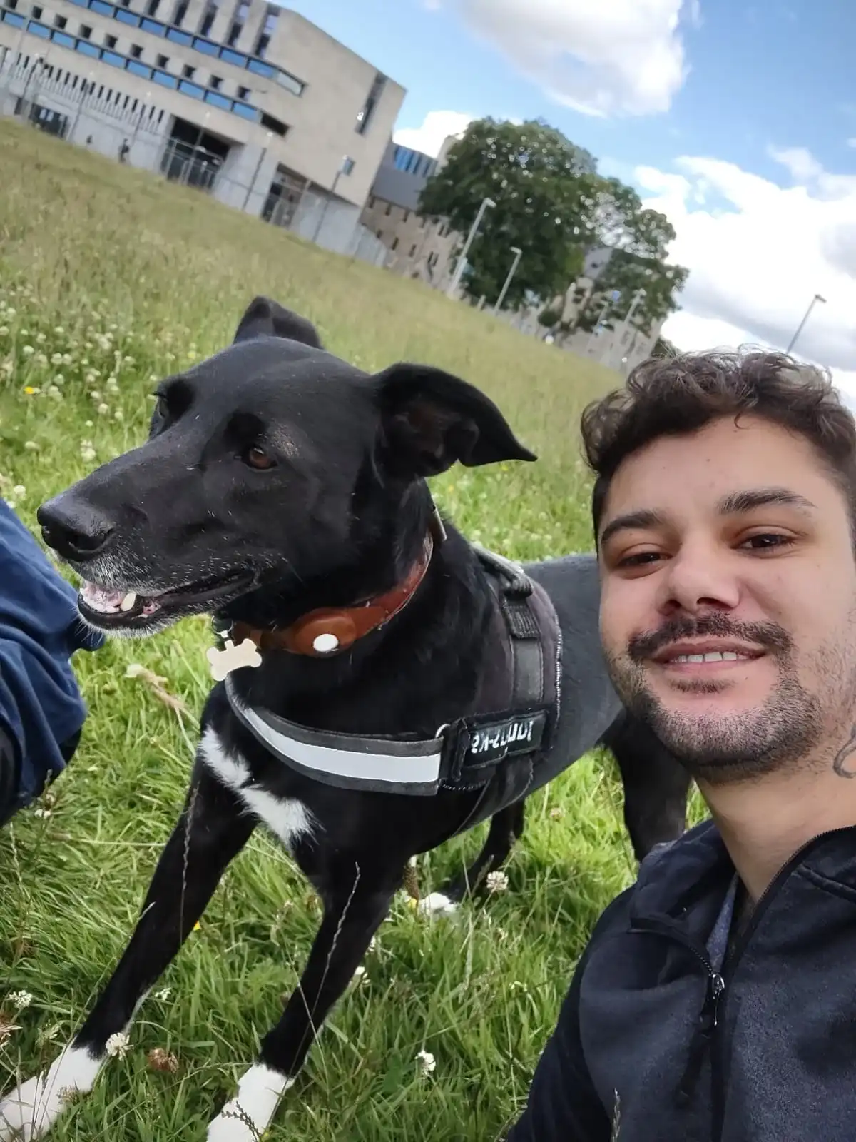 image-10