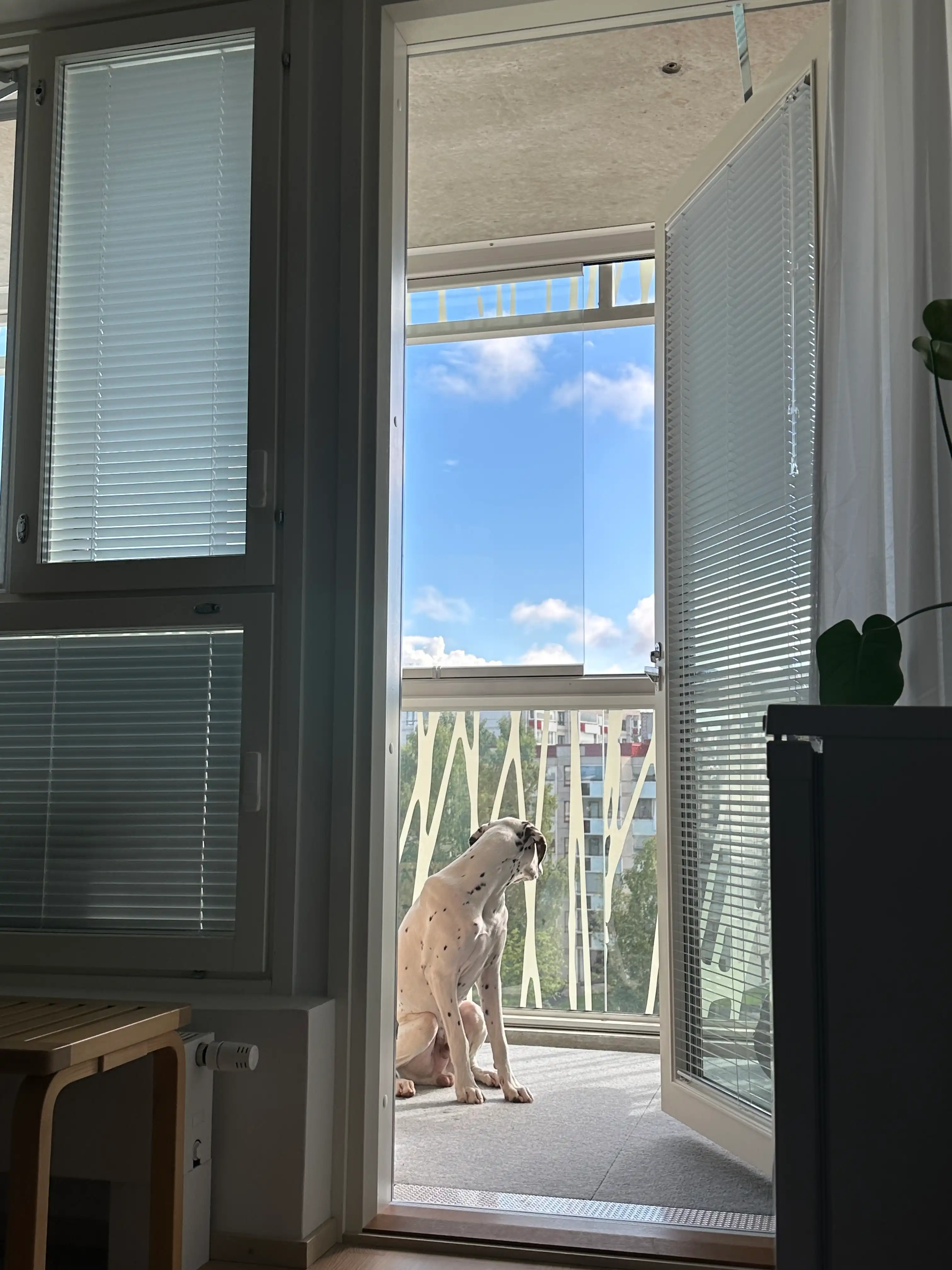 image-11