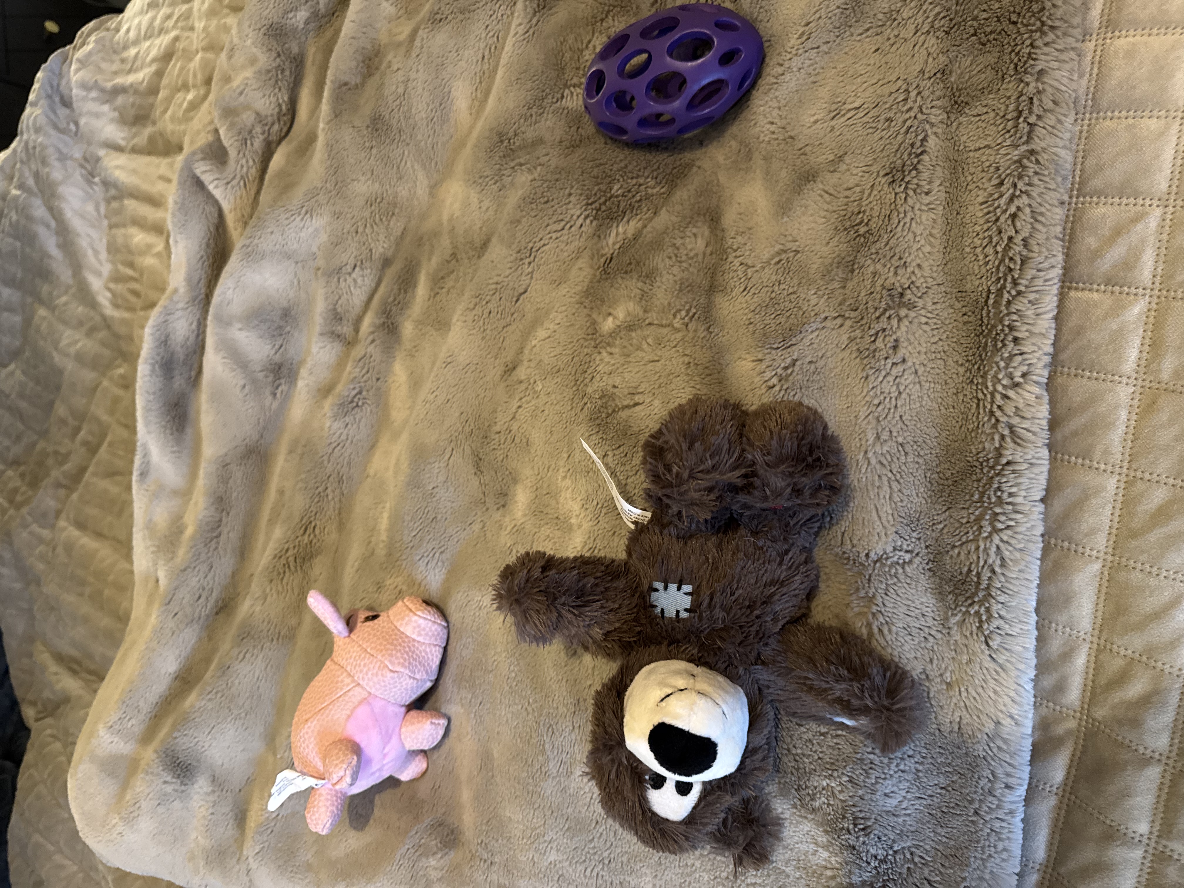 image-20