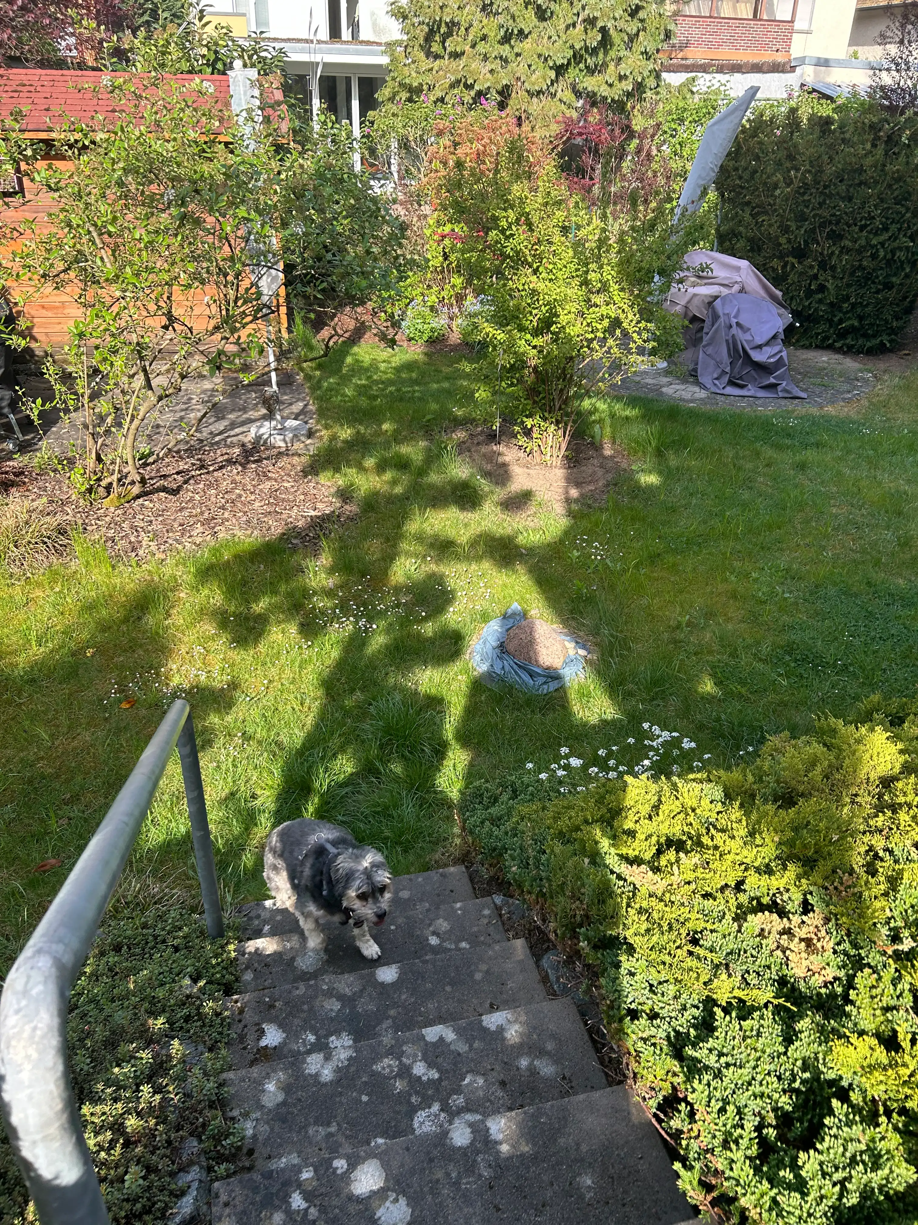 image-18