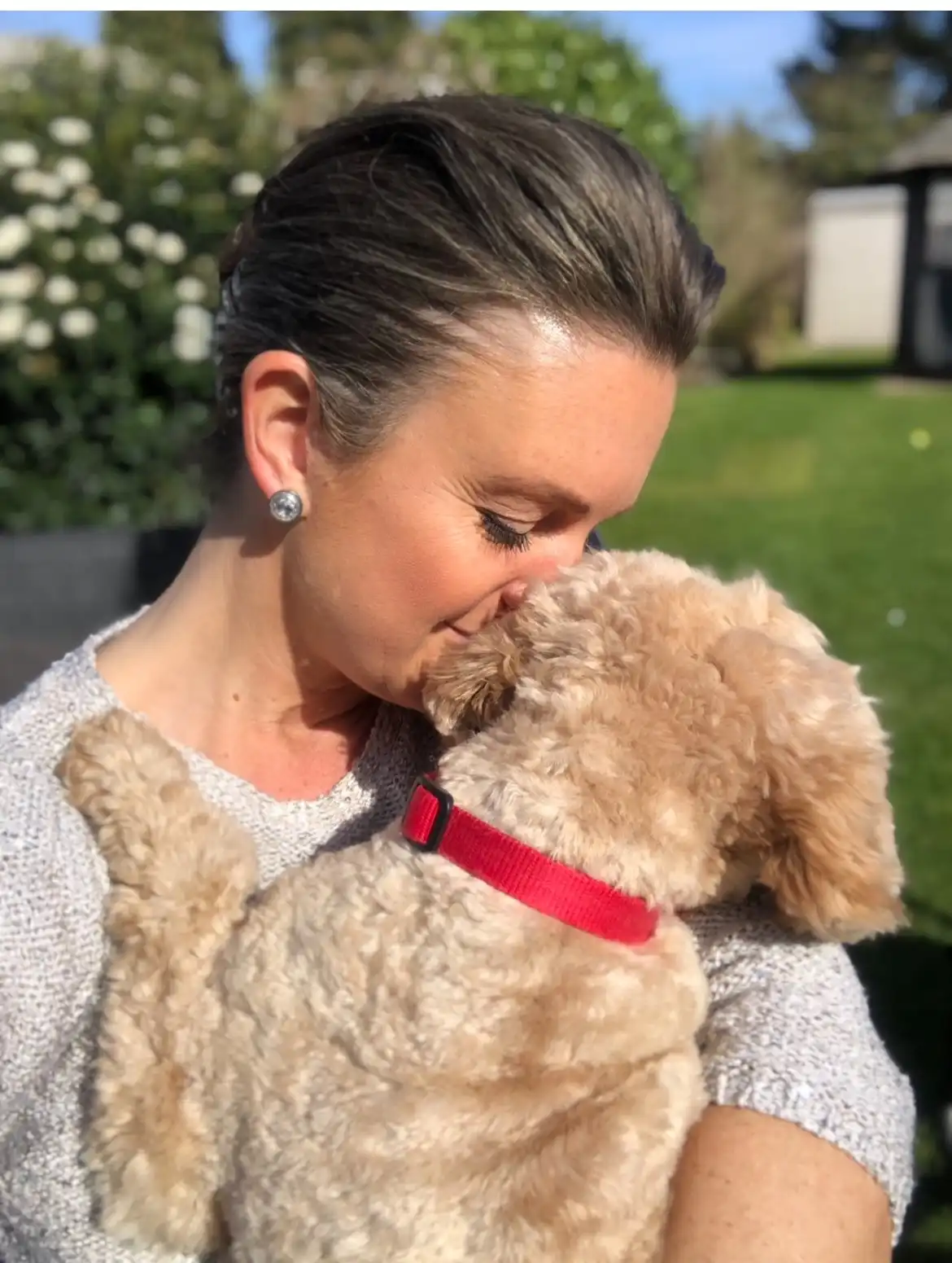 Paws Dog Boarding Small Paws Boarding Happy Paws Pet Resort Happy