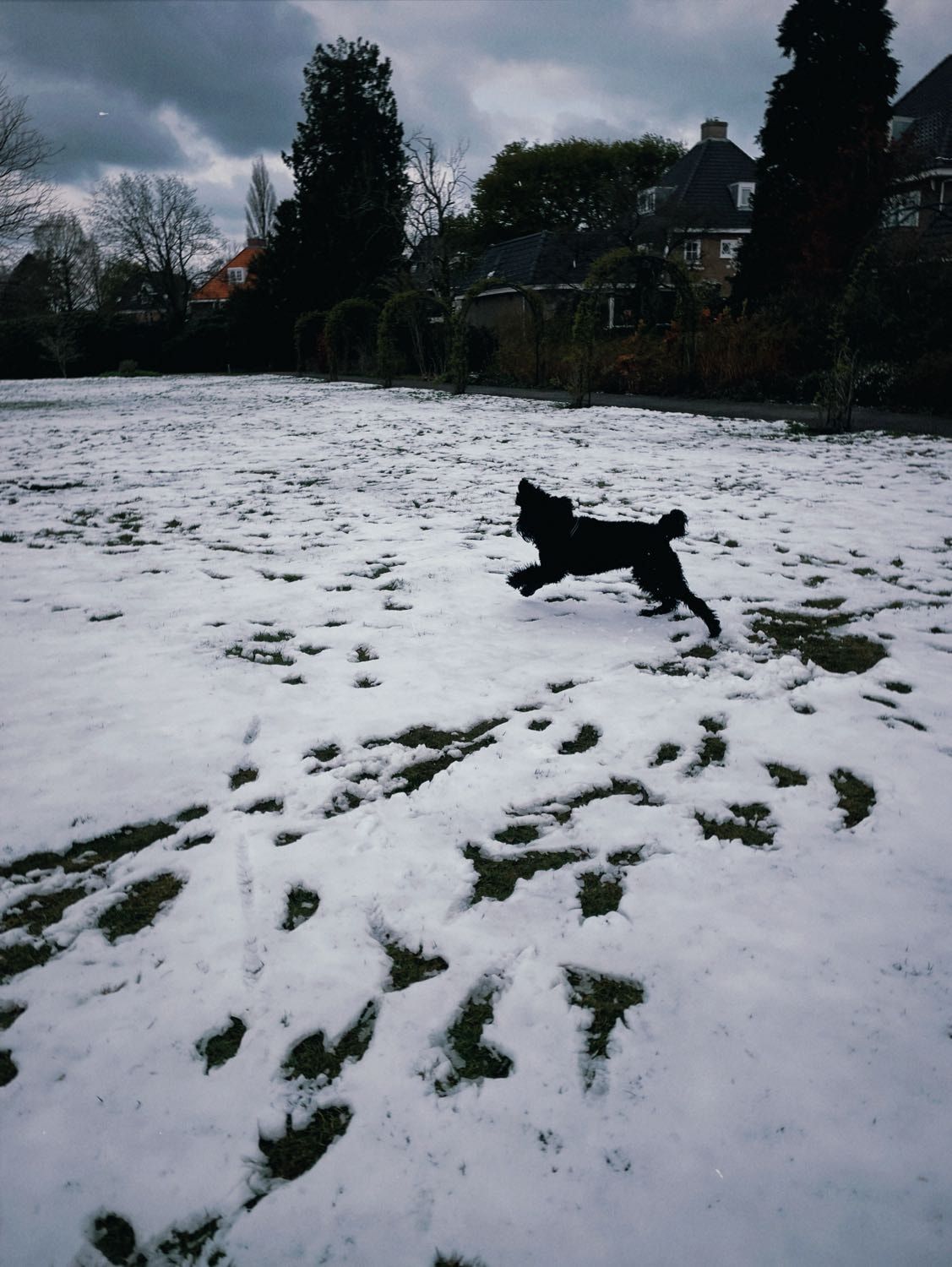 image-16