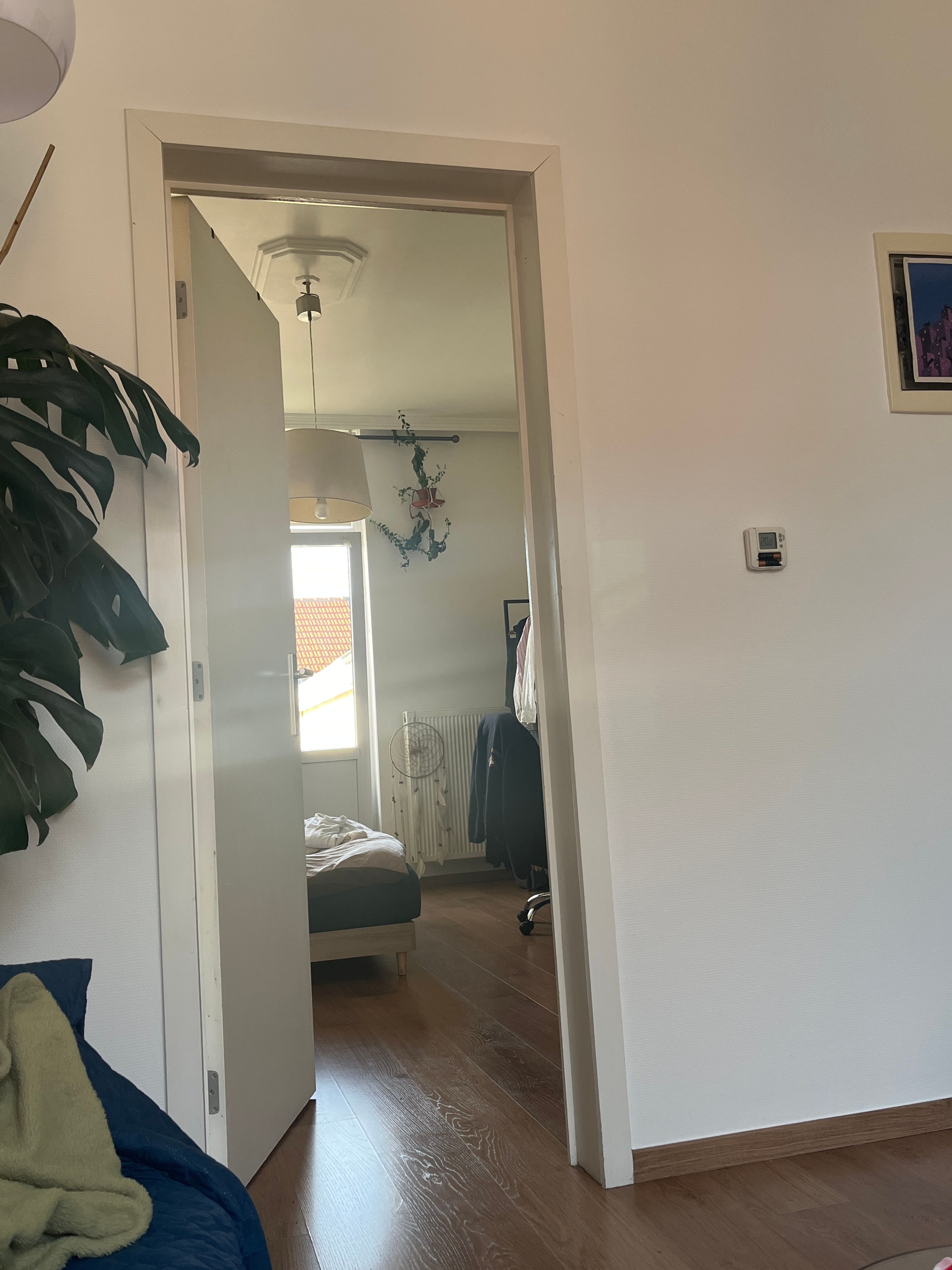 image-17