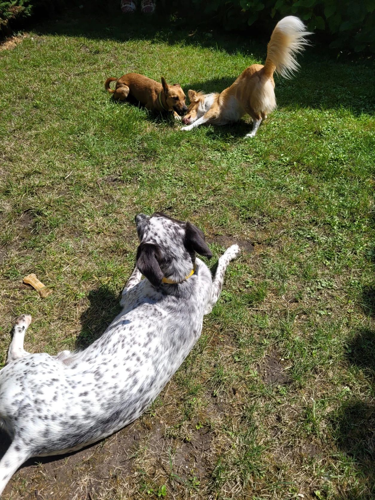 image-8