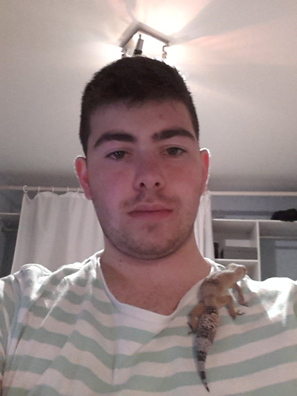 image-8