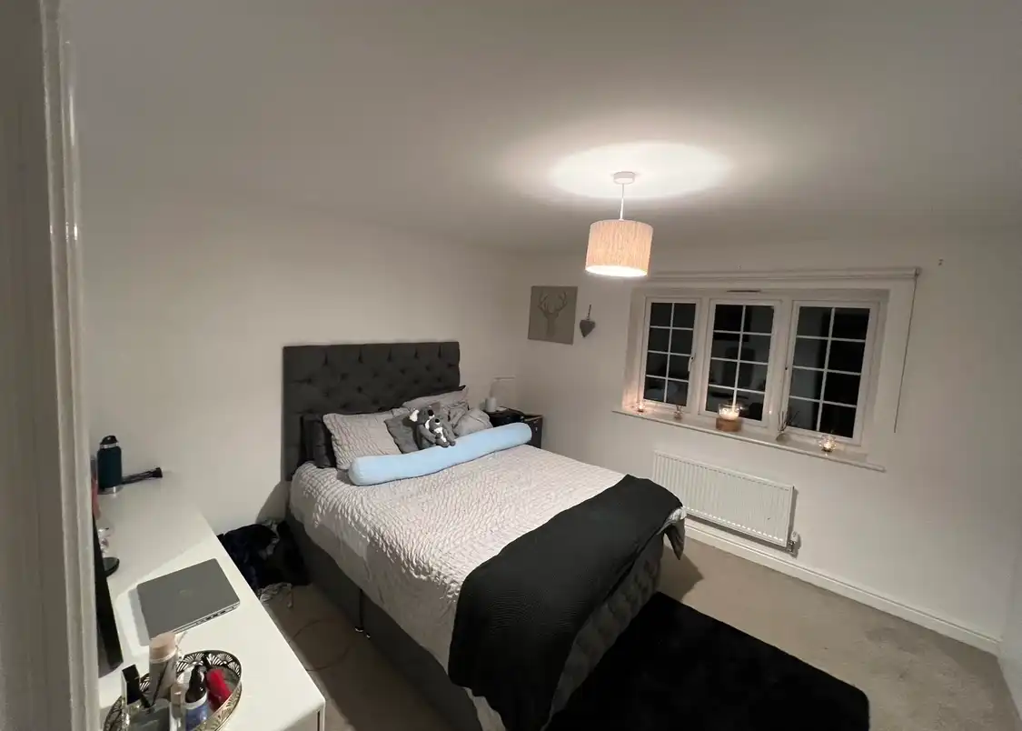 image-12