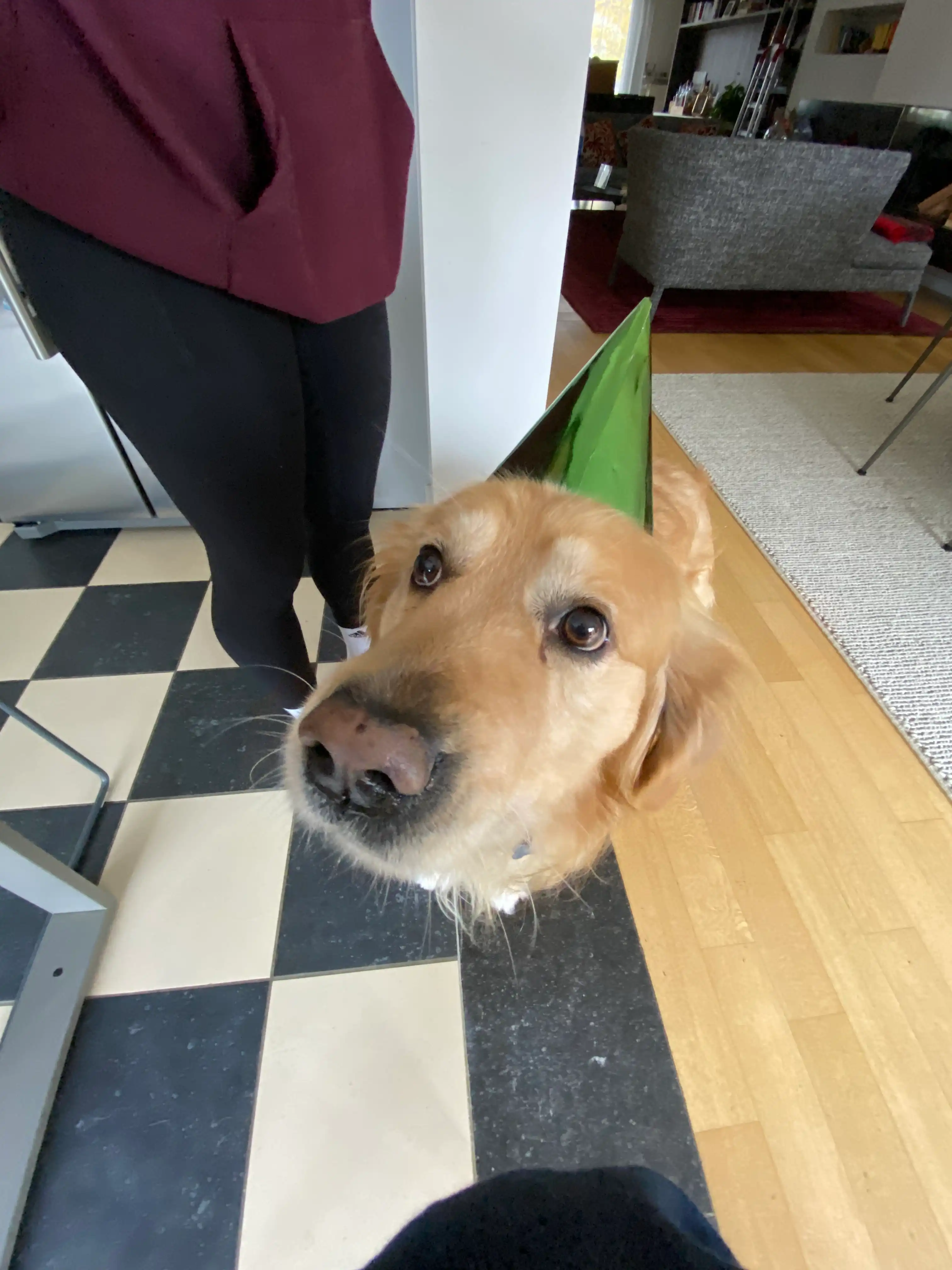 image-5