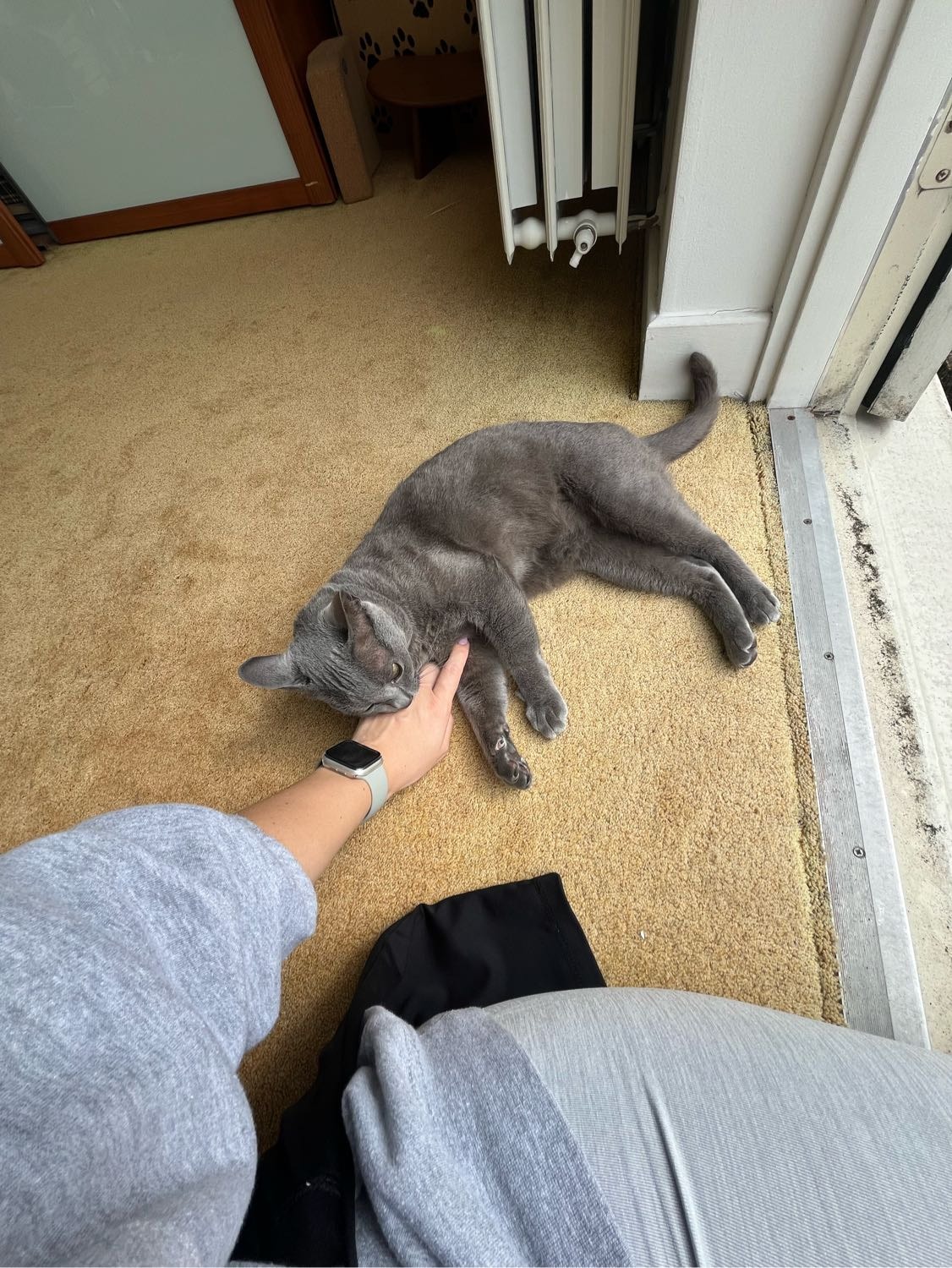 image-7