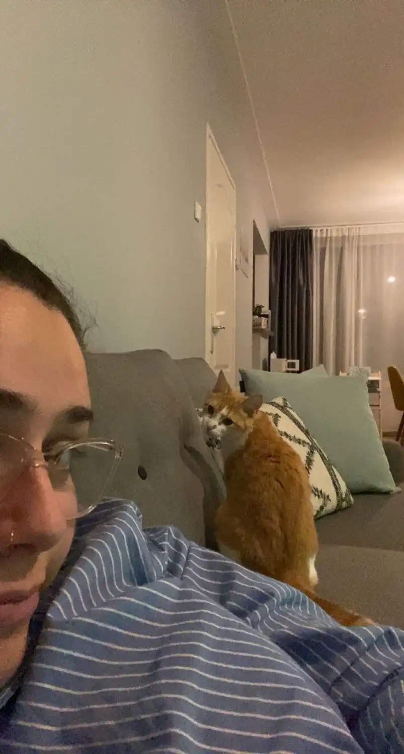 image-6