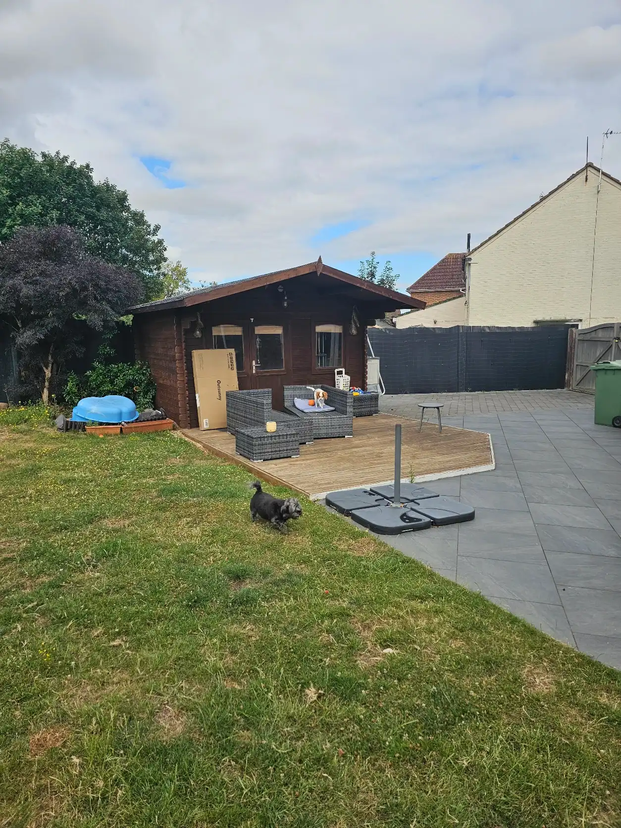 image-20
