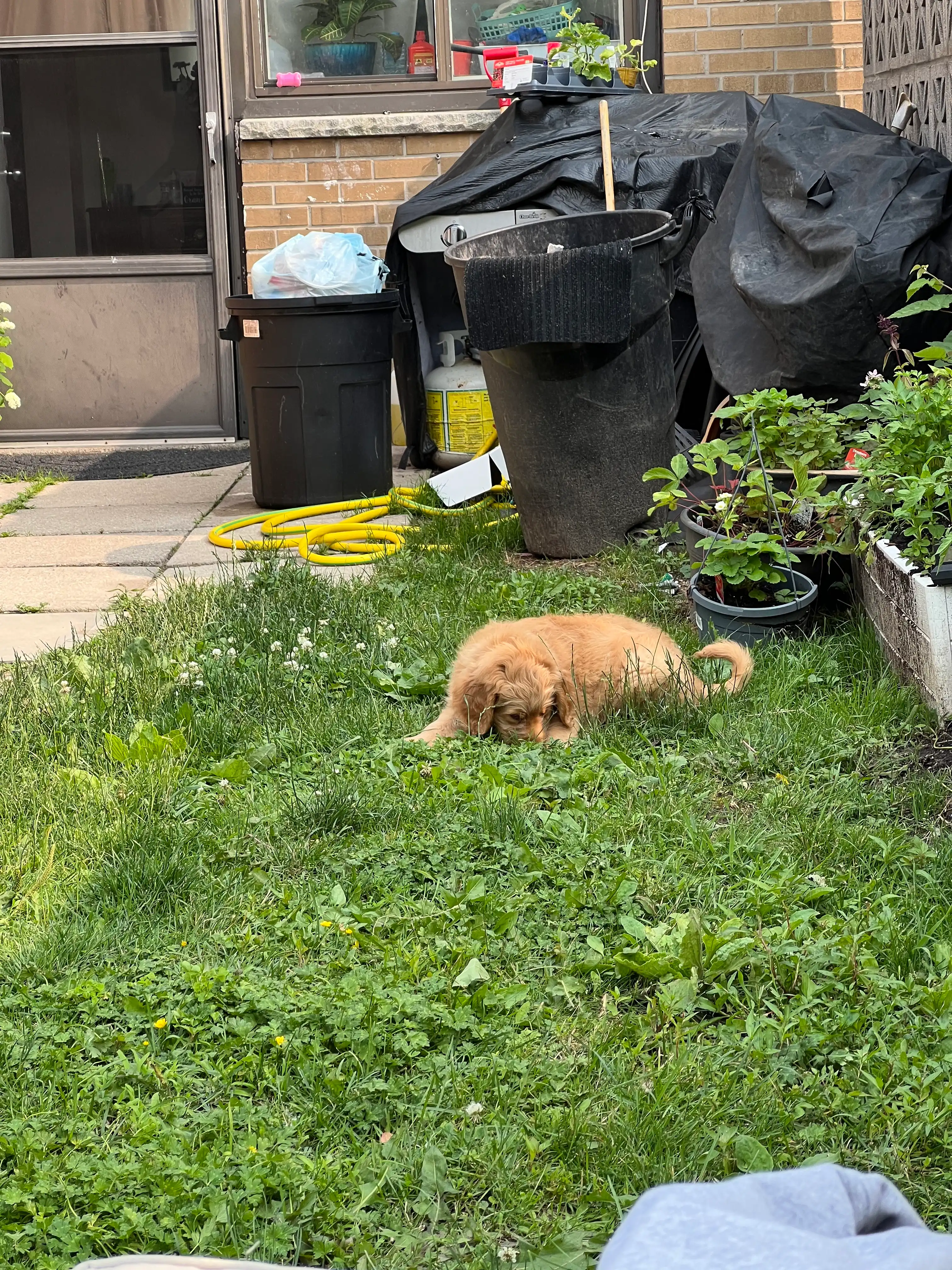 image-10