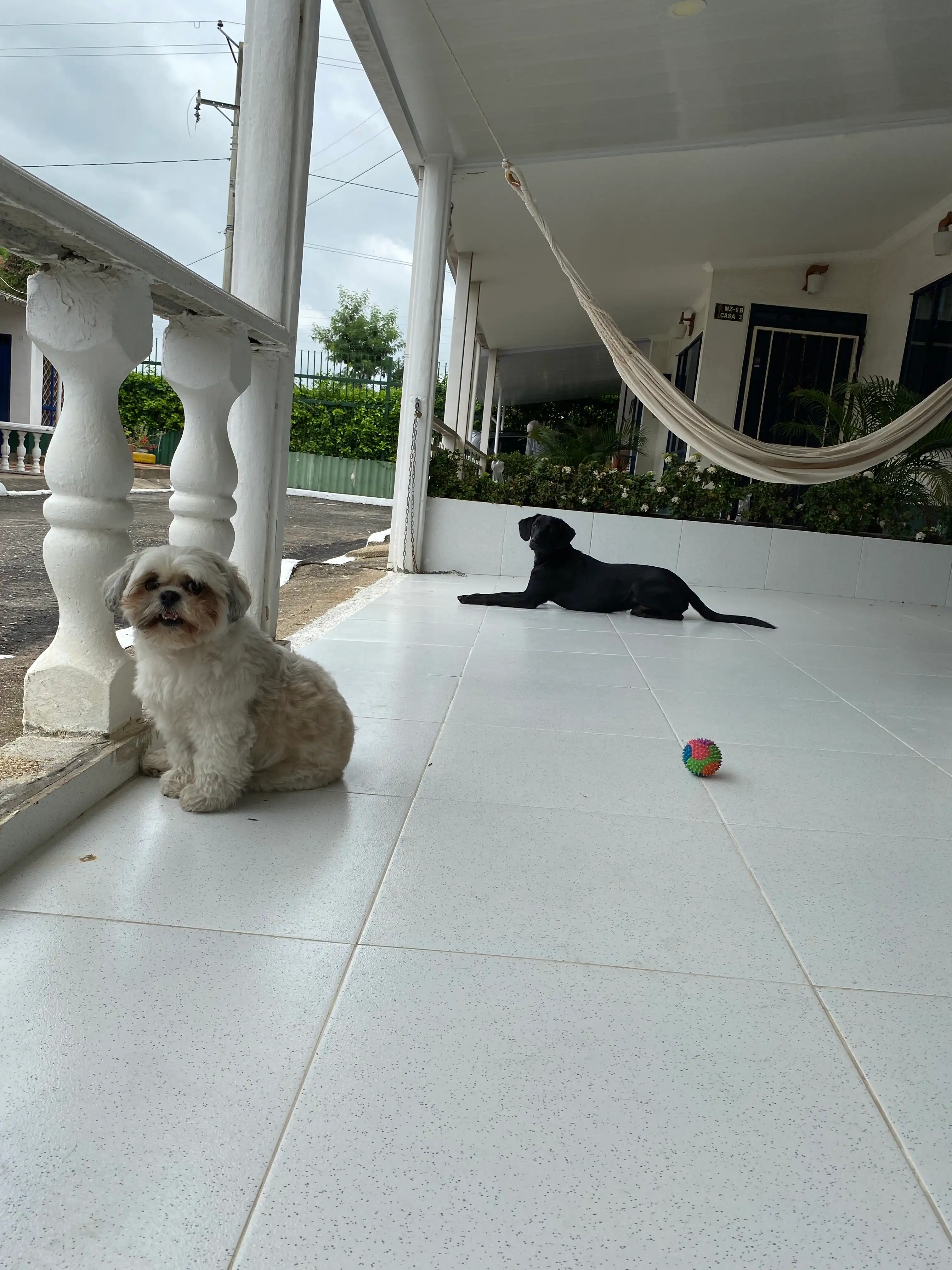 image-7
