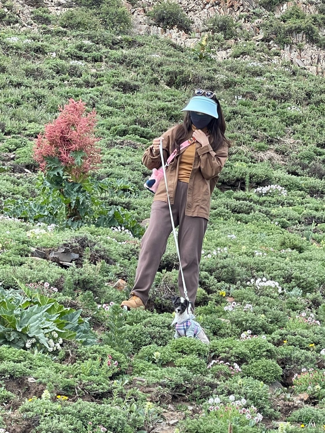 image-6