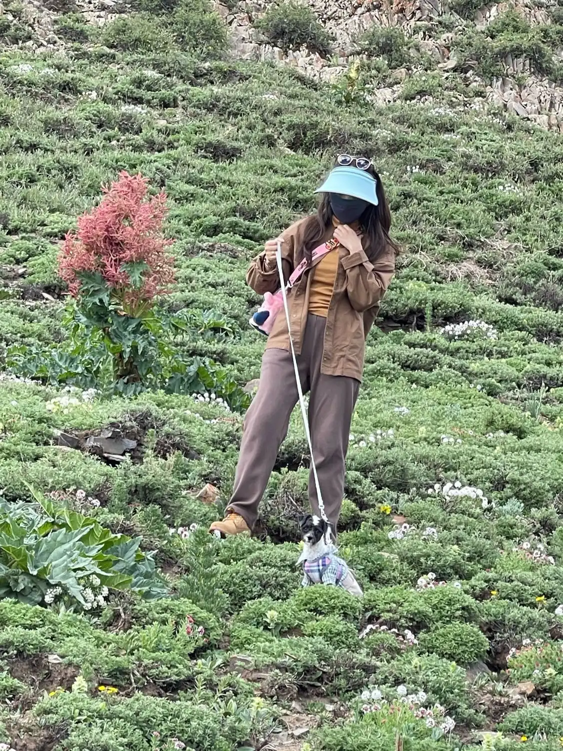 image-6