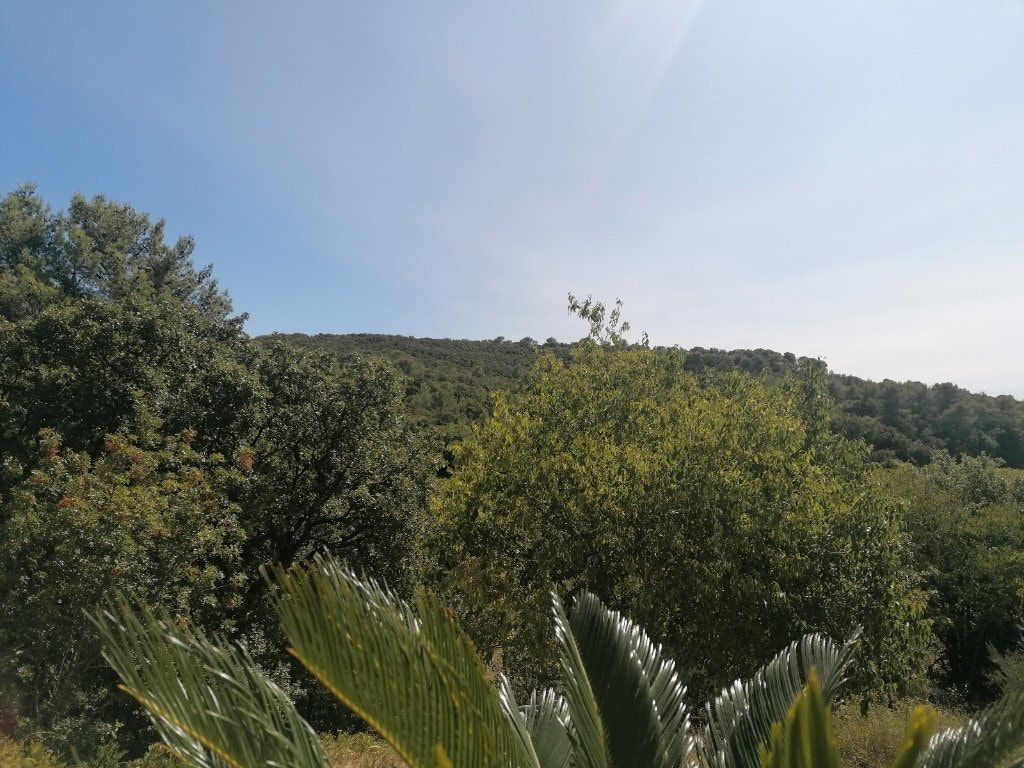 image-31