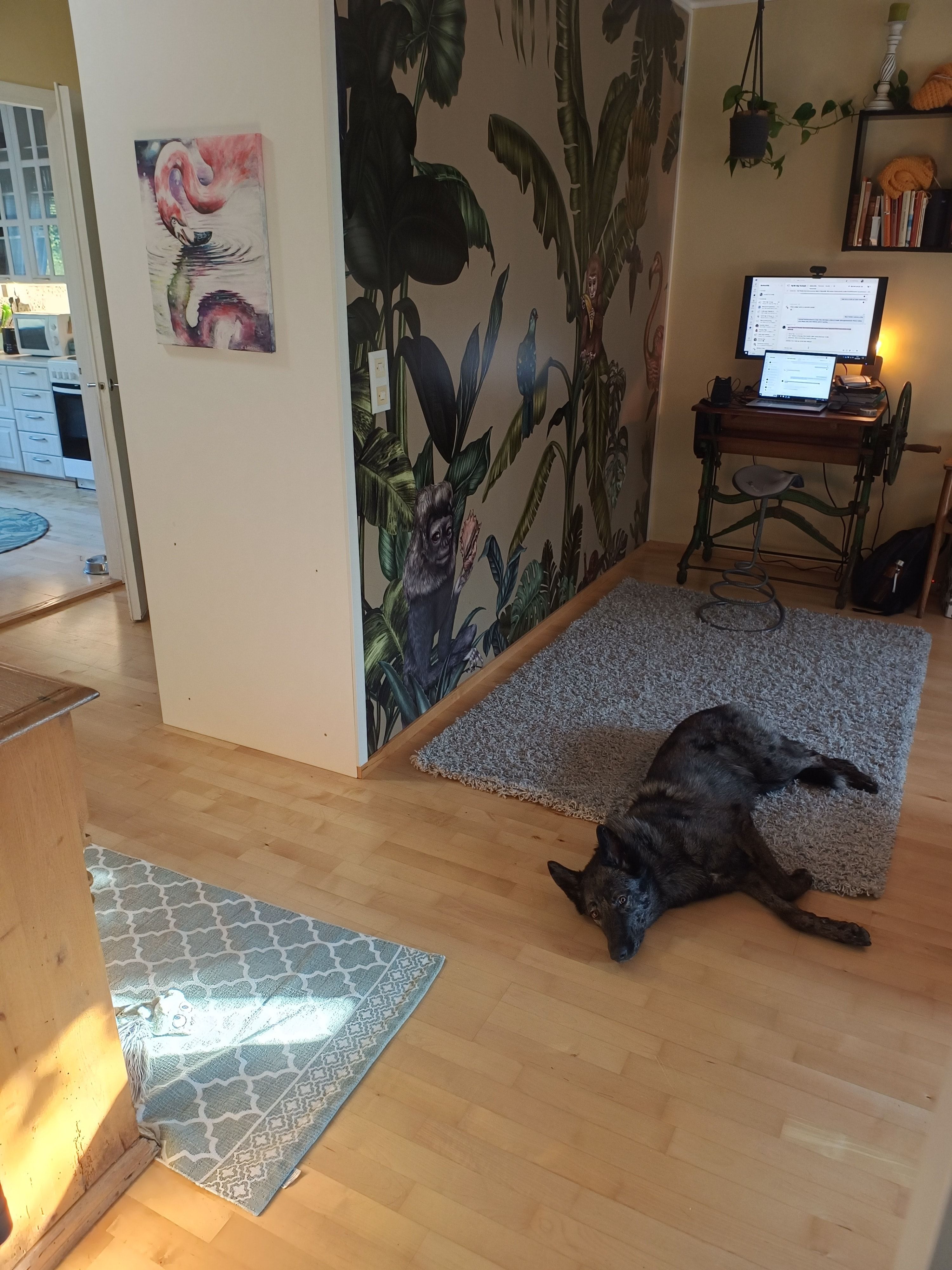 image-5