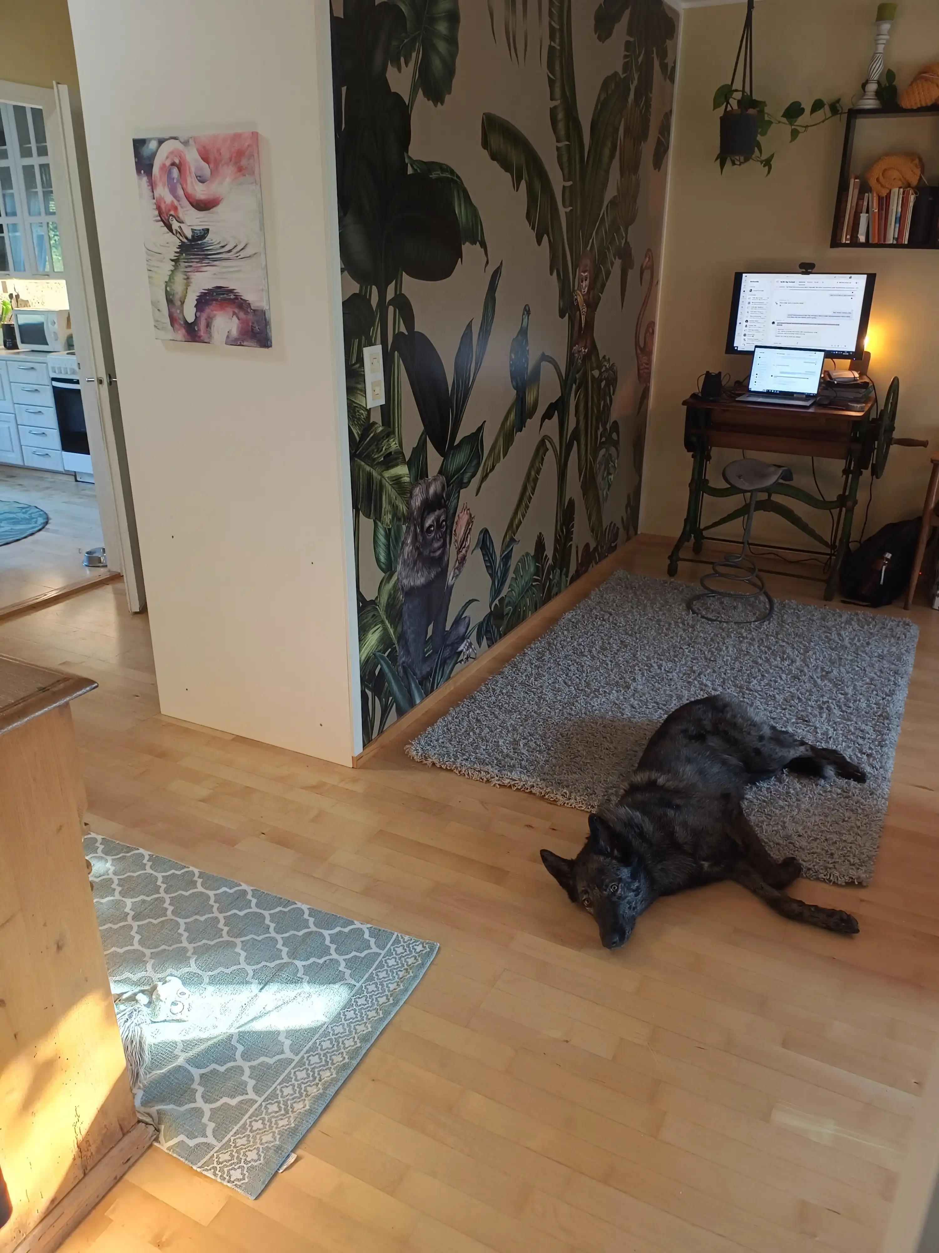 image-5