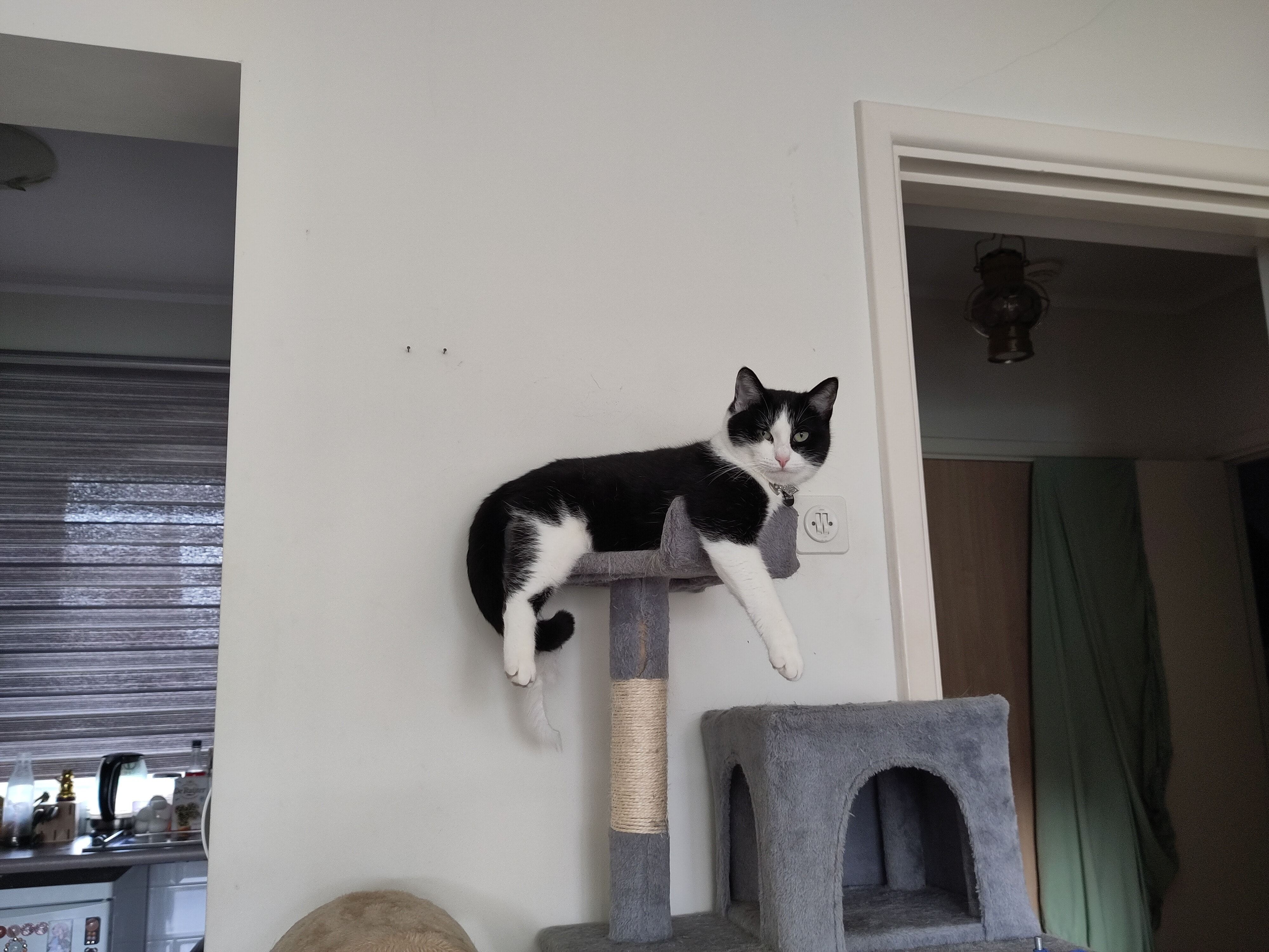 image-5