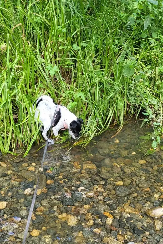 image-9