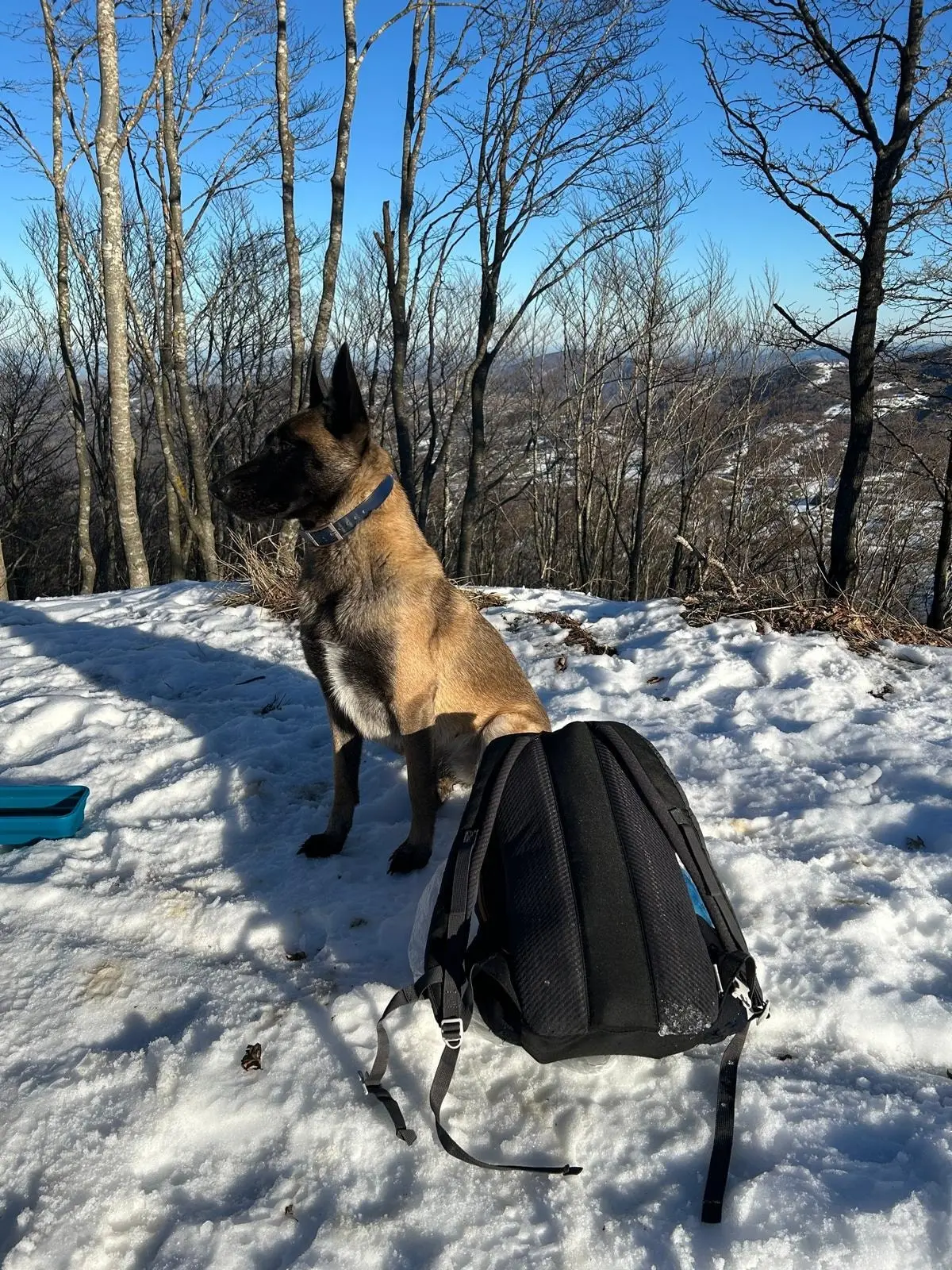 image-4