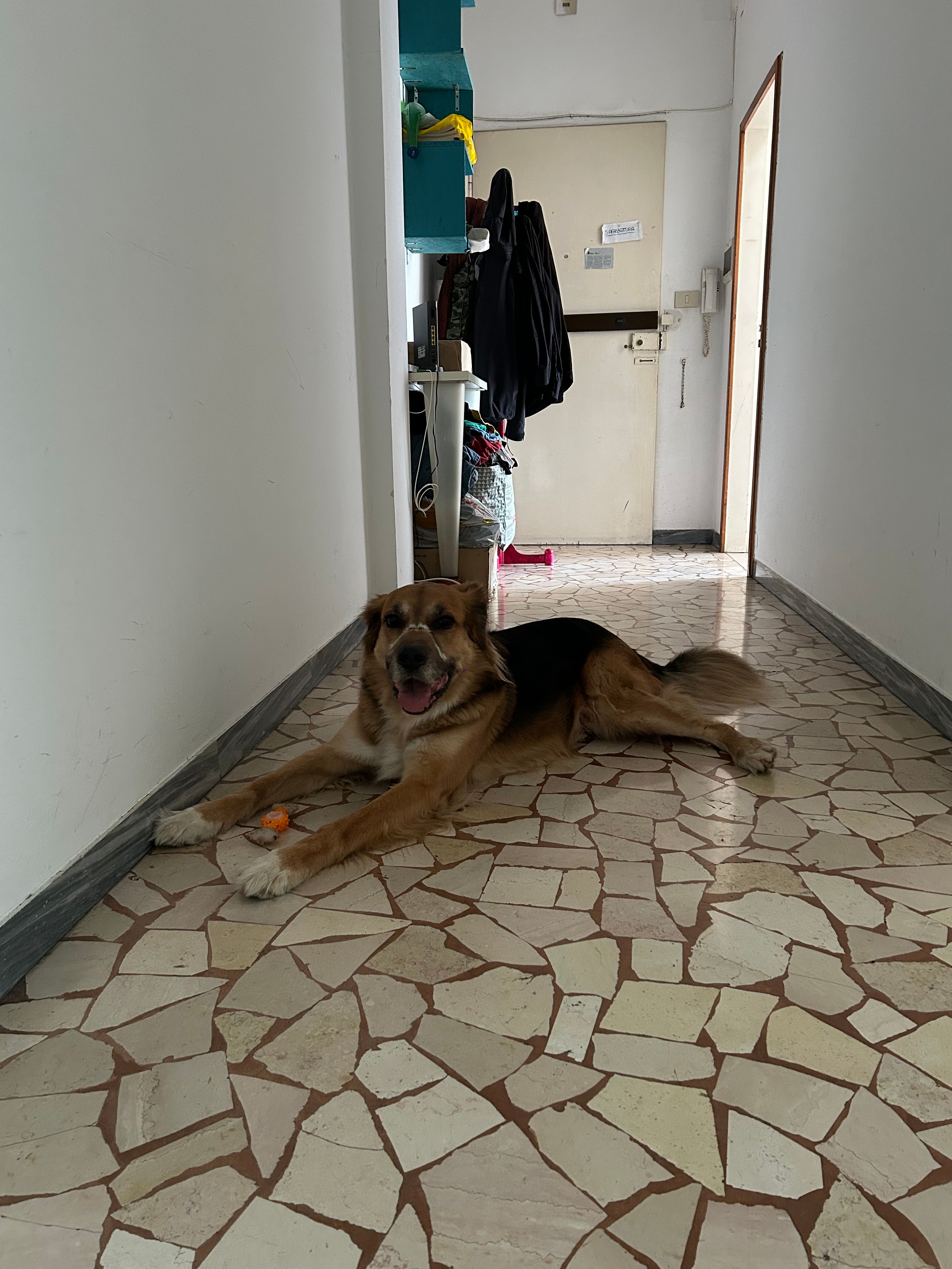 image-23