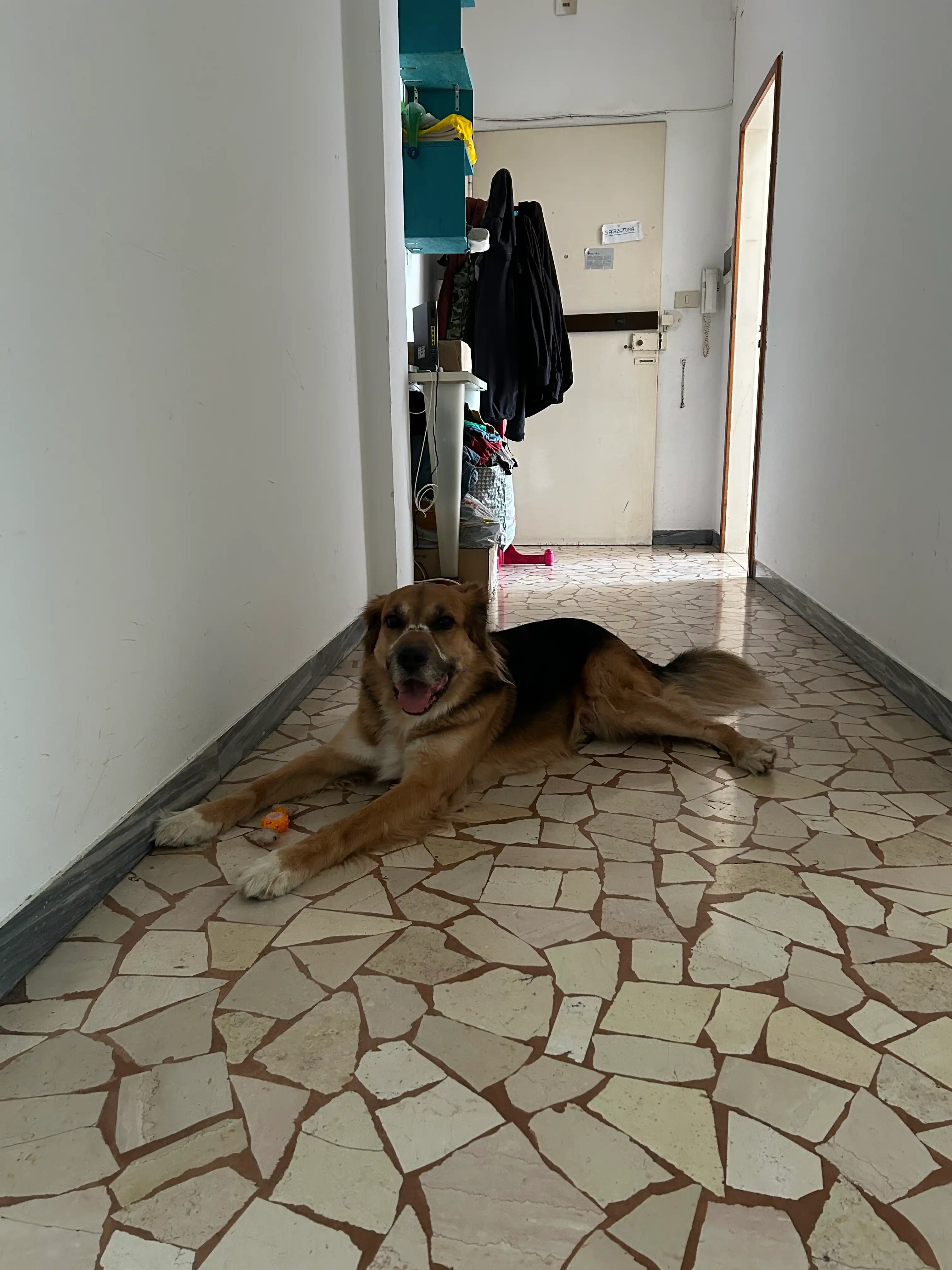 image-23
