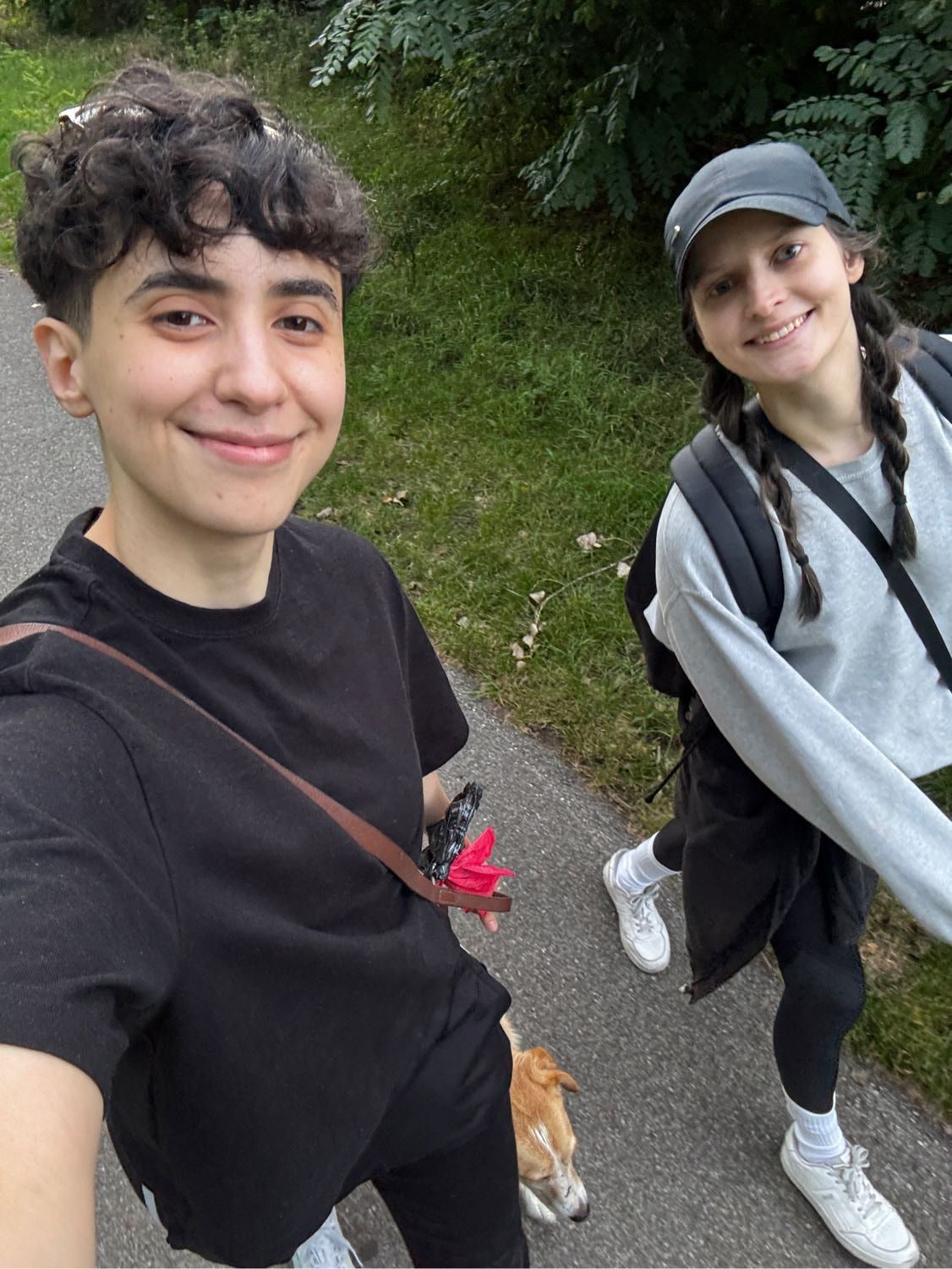 image-12
