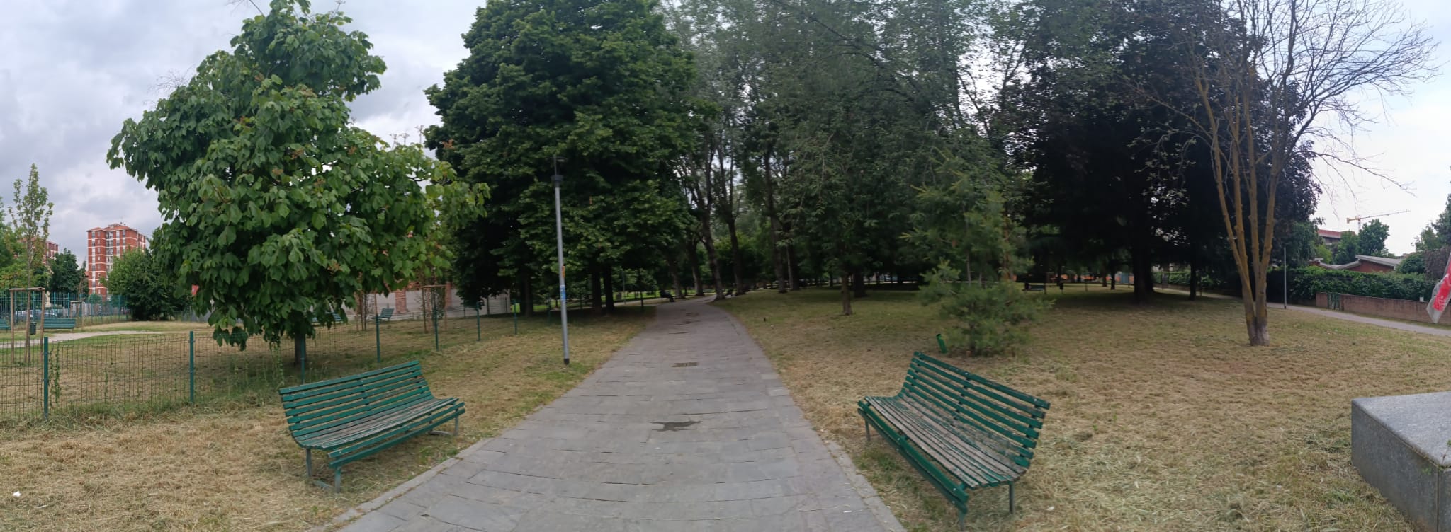 image-20