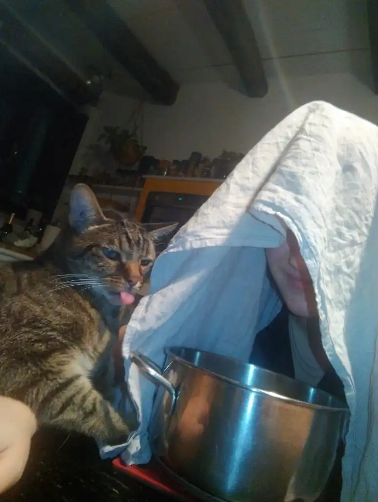 image-8
