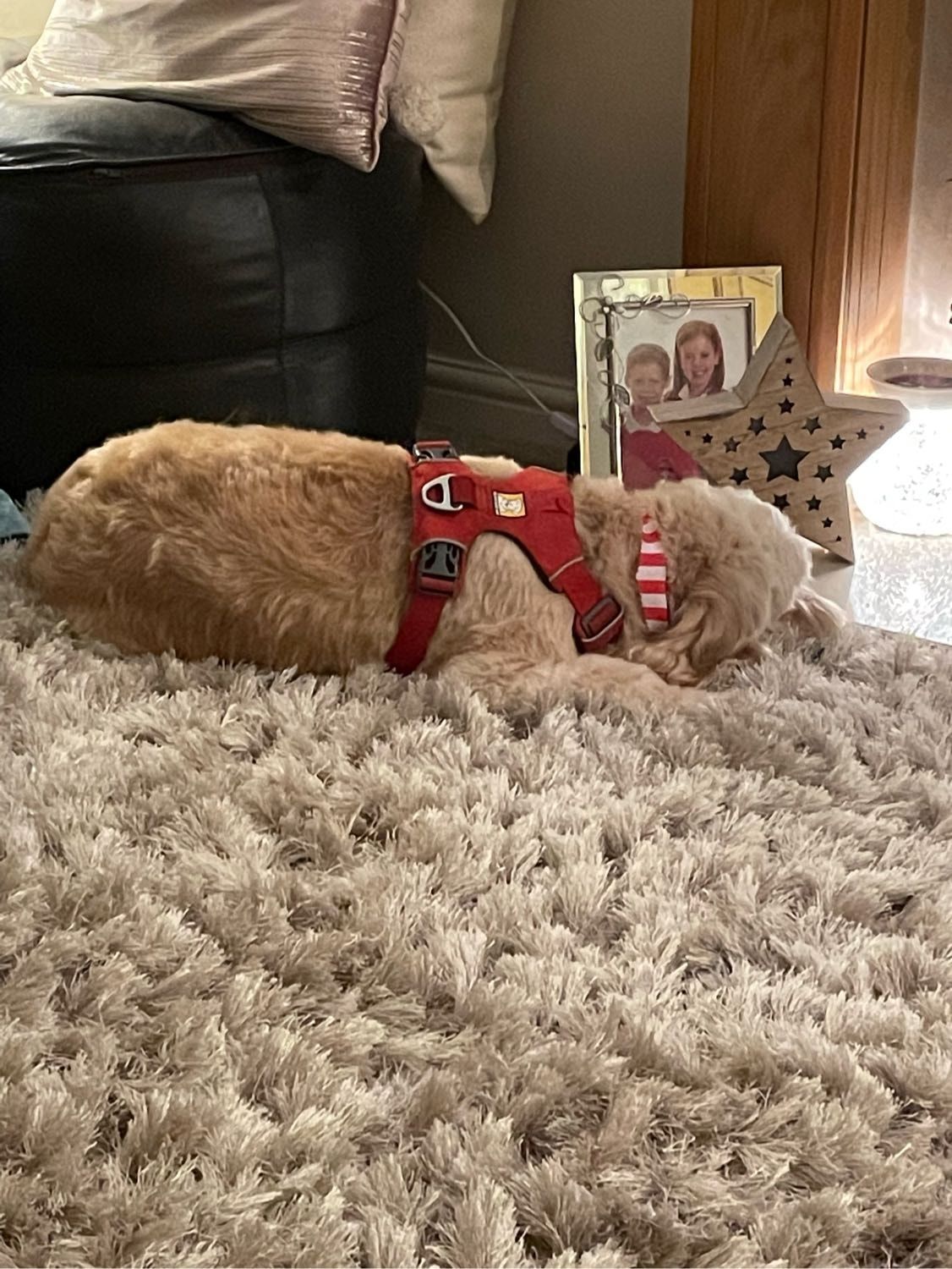 image-6