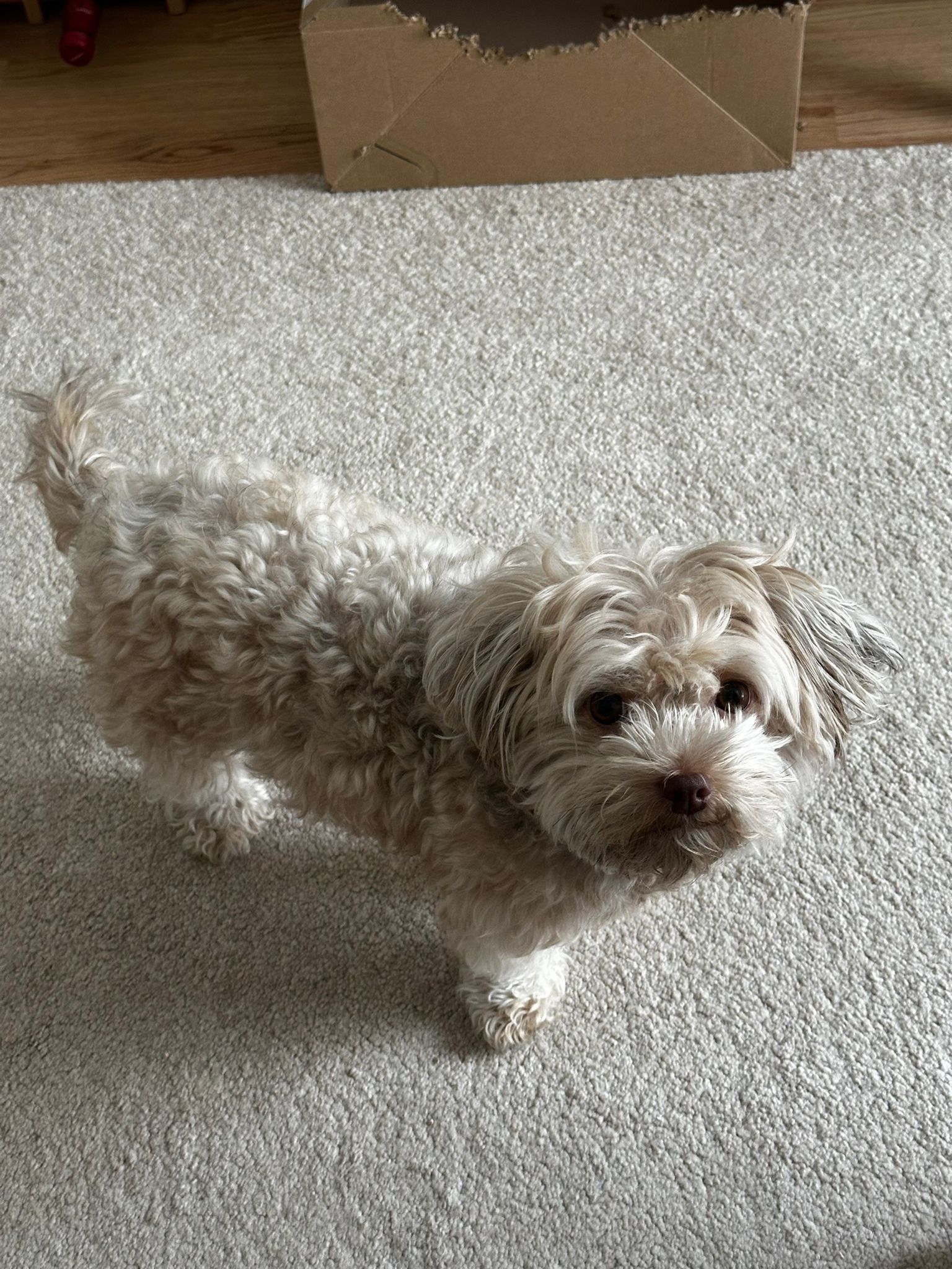 image-8