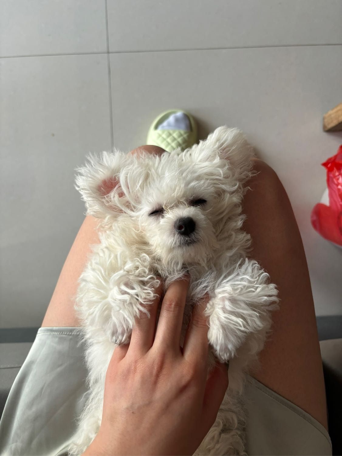 image-10