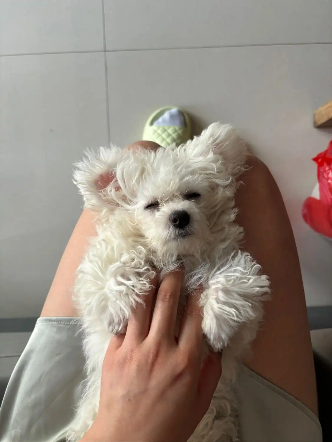 image-10
