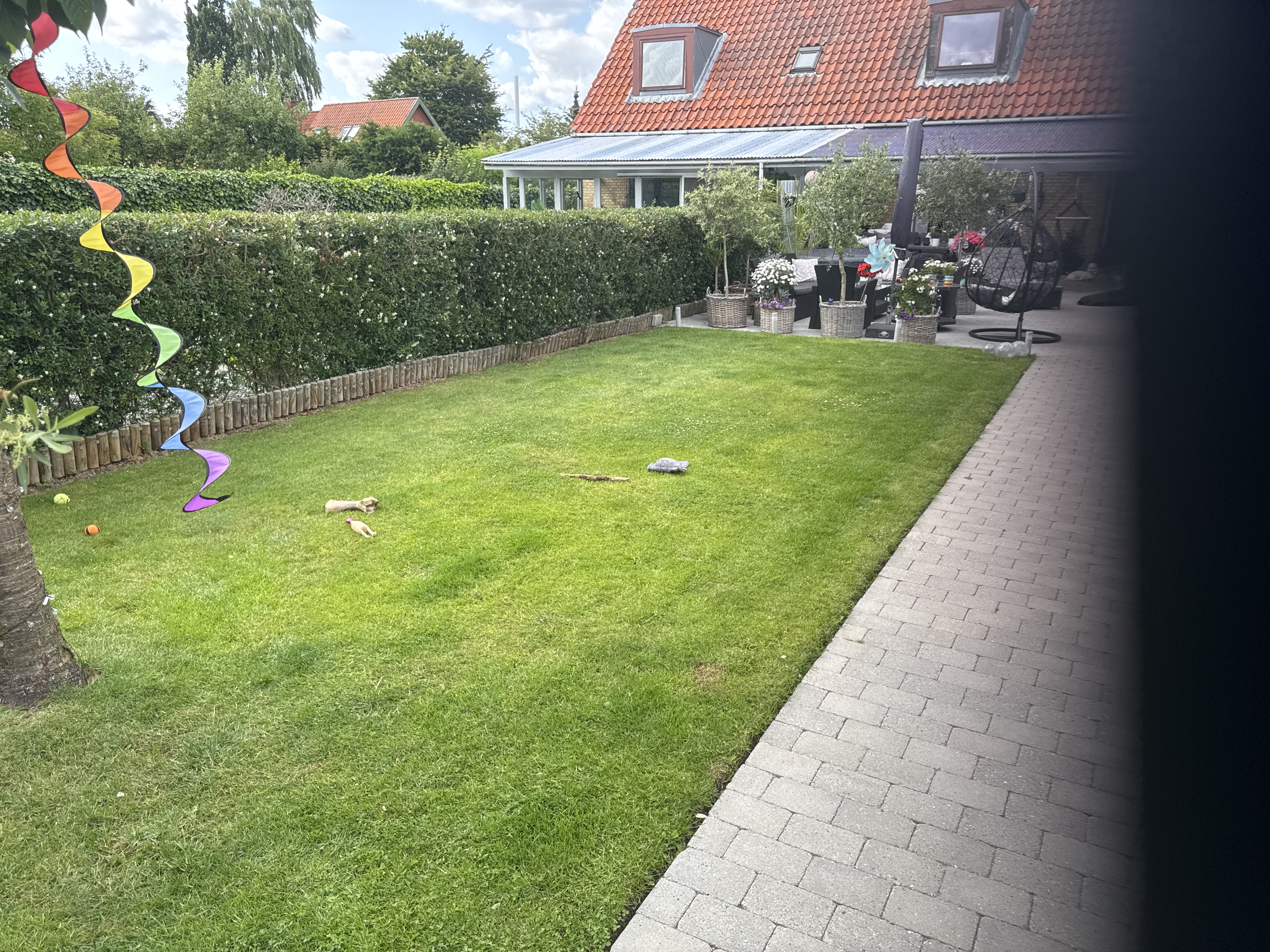 image-14