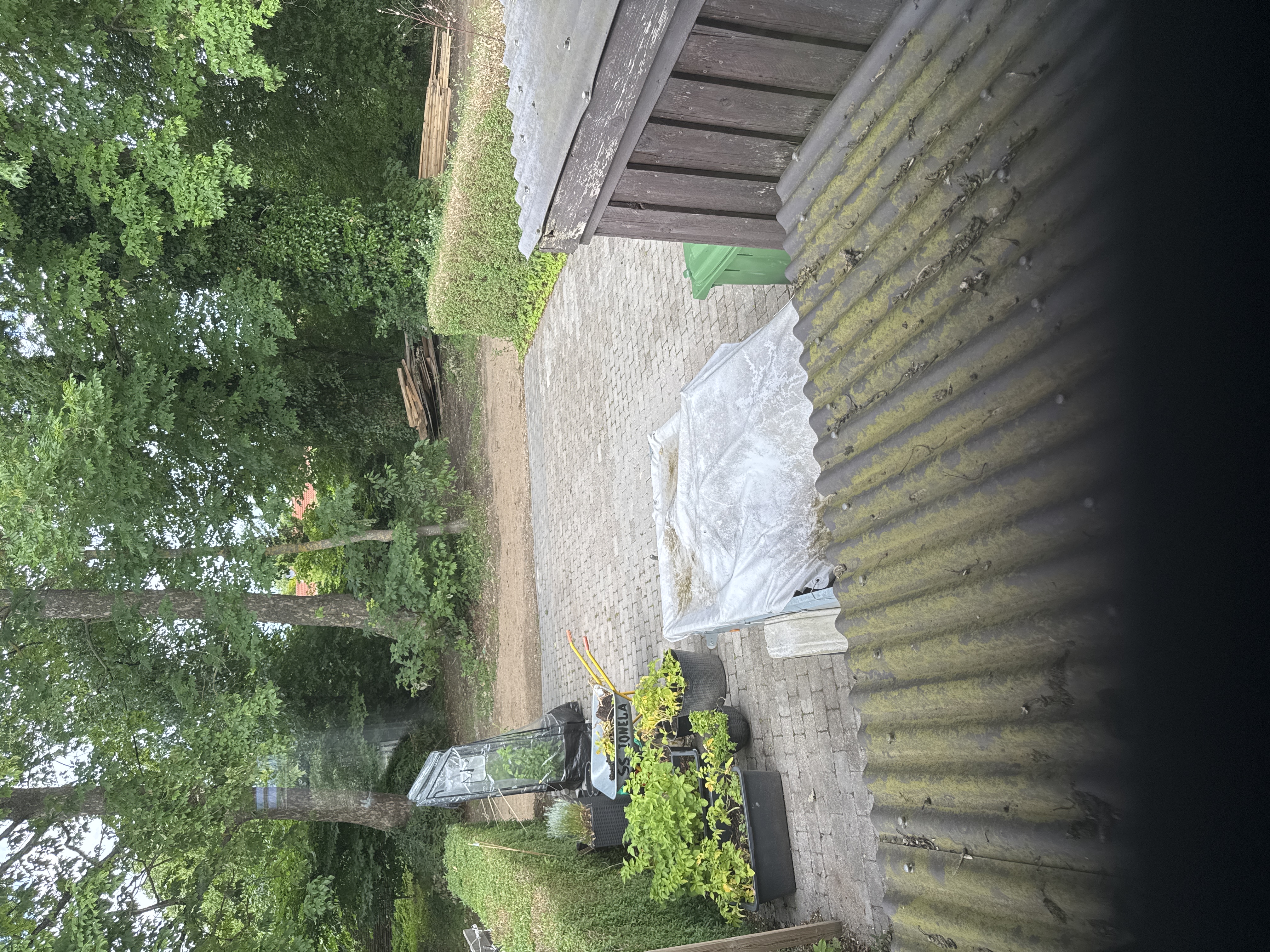 image-13