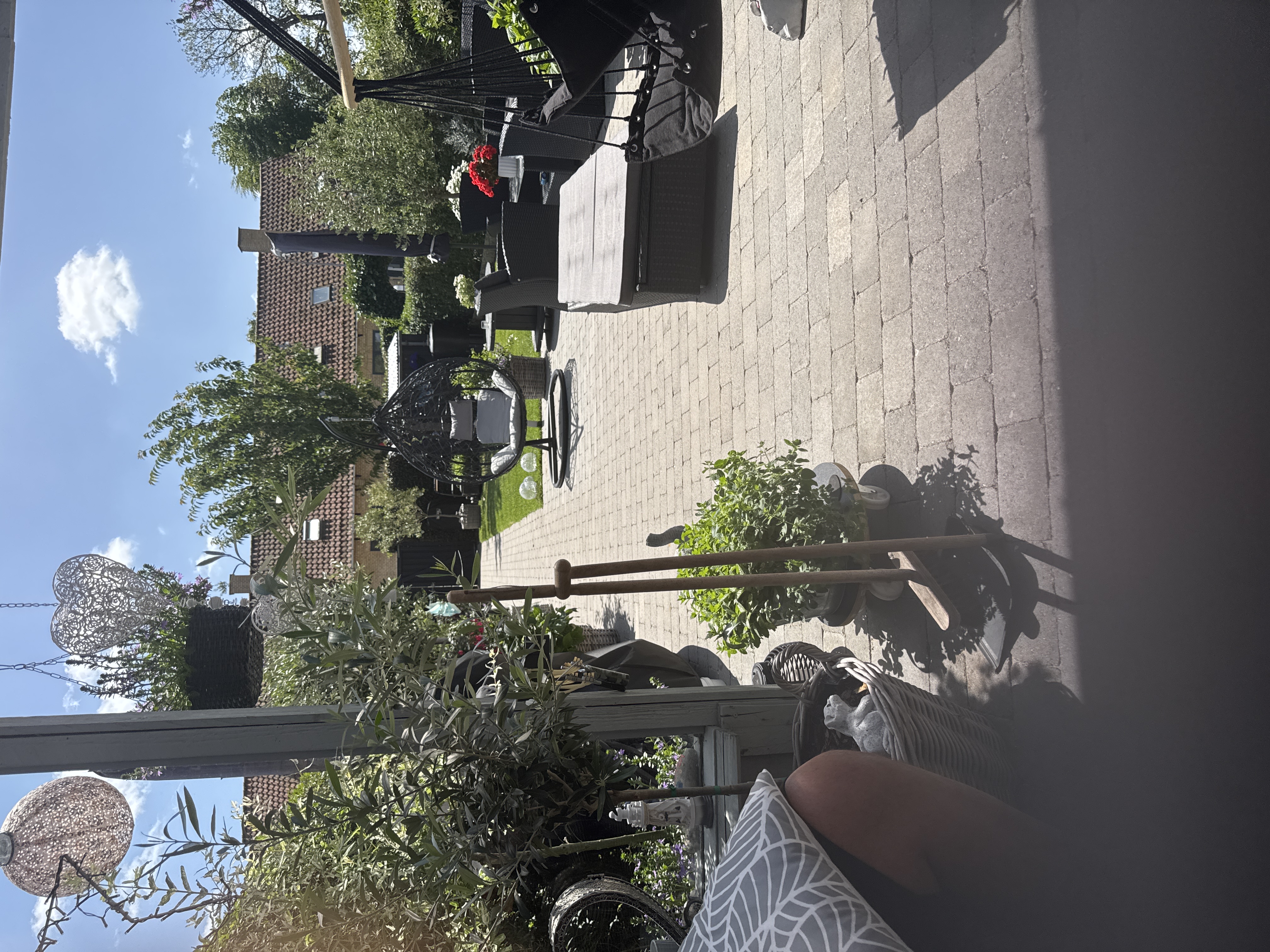 image-19