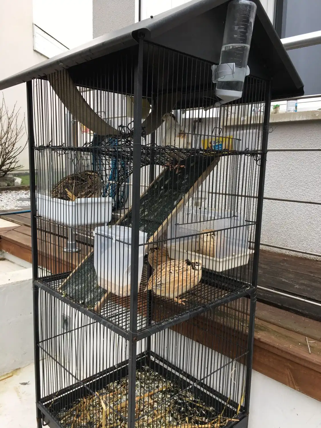 image-7