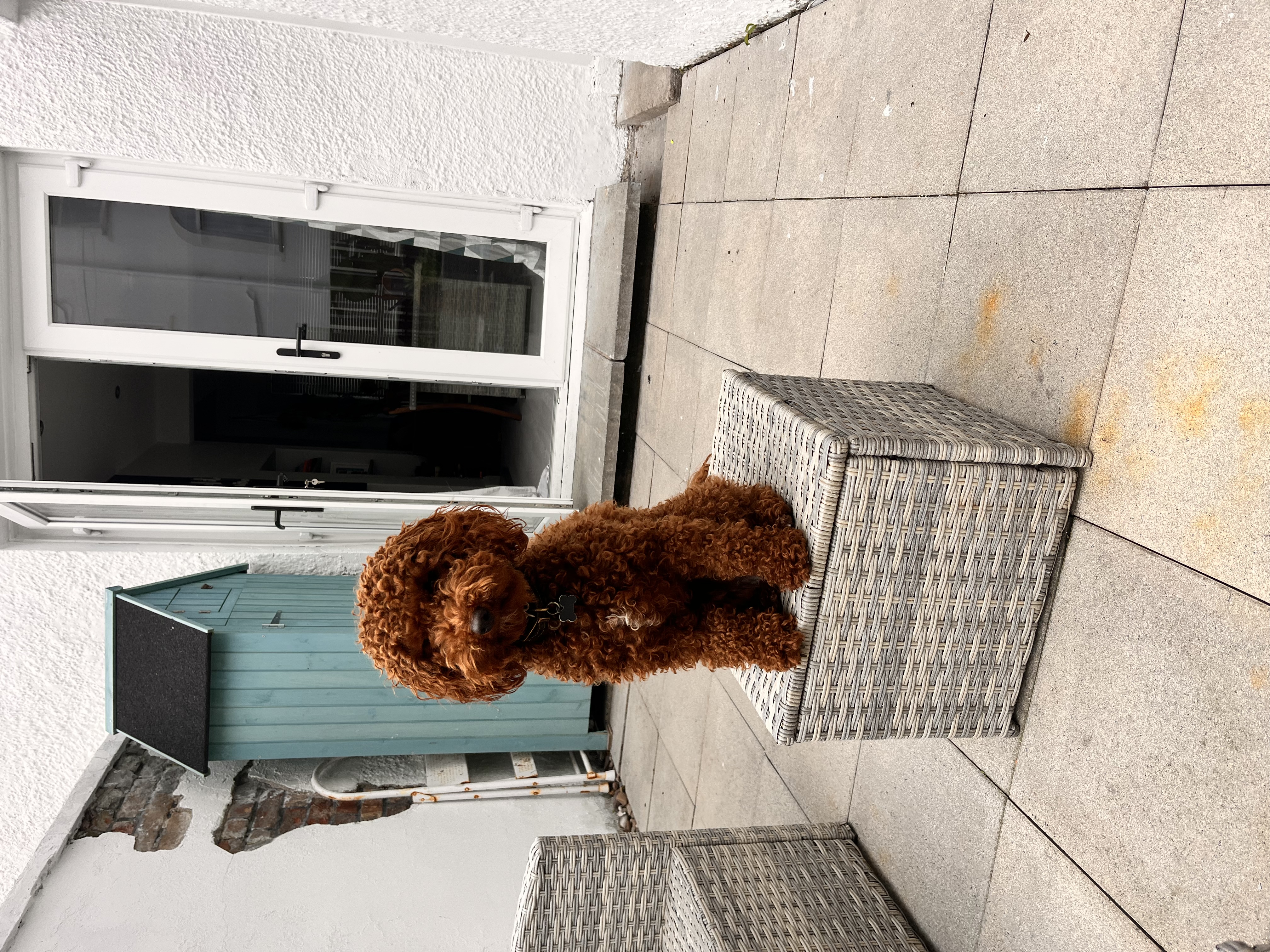 image-4