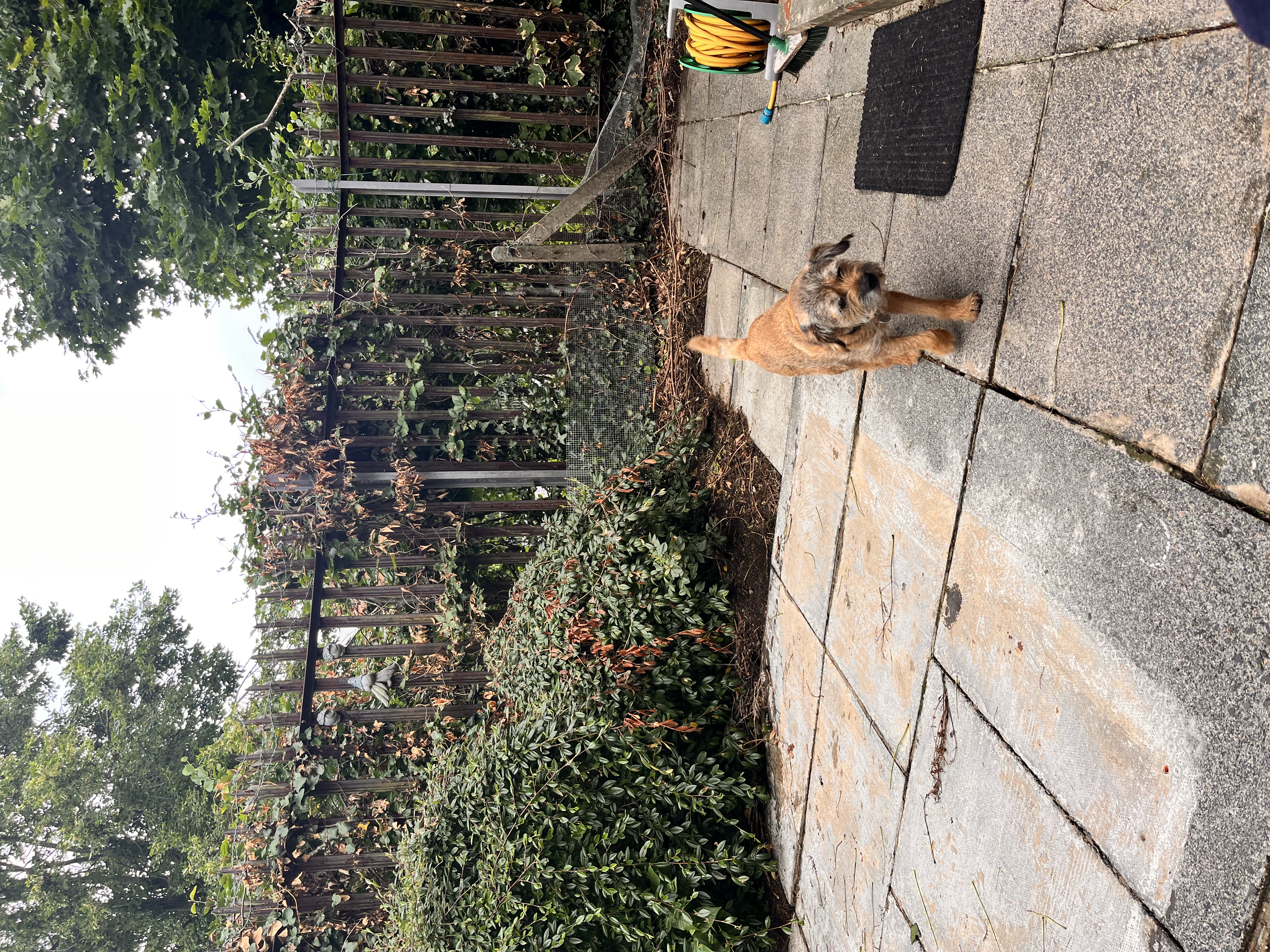 image-5